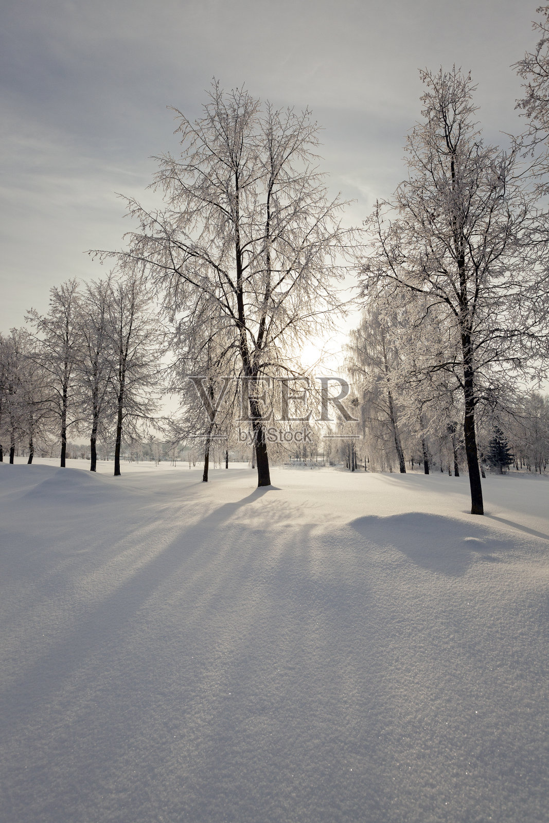 冬天照片摄影图片