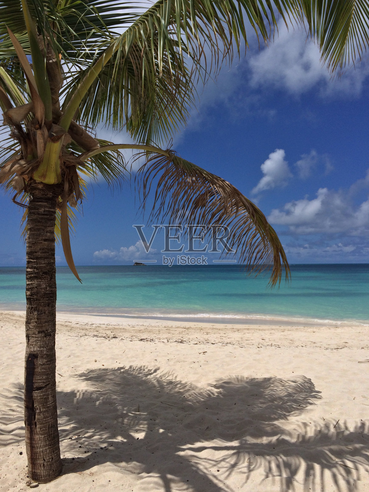 热带景观照片摄影图片