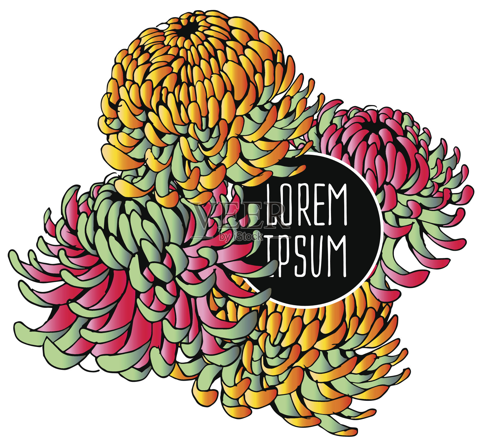 美丽的花卉背景艺术插画图片素材