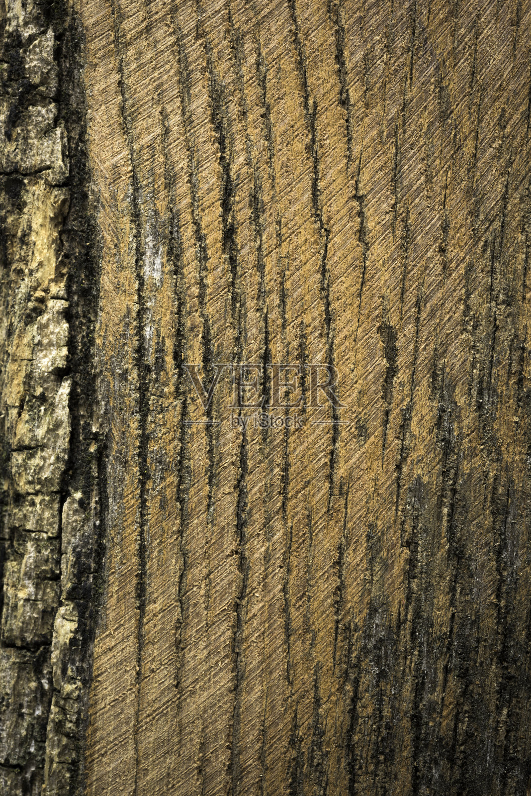 老柴的背景照片摄影图片