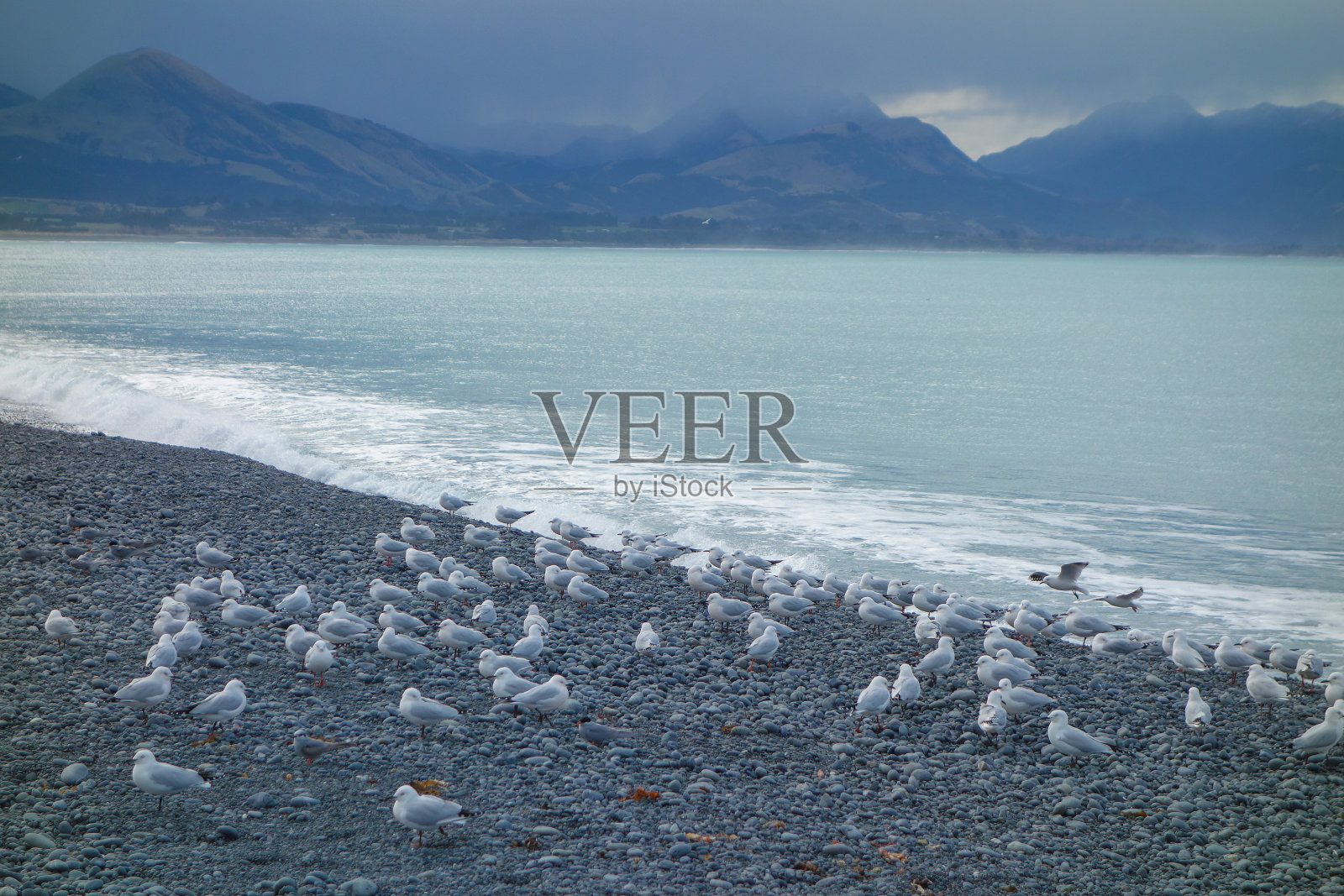 凯库拉的海景照片摄影图片