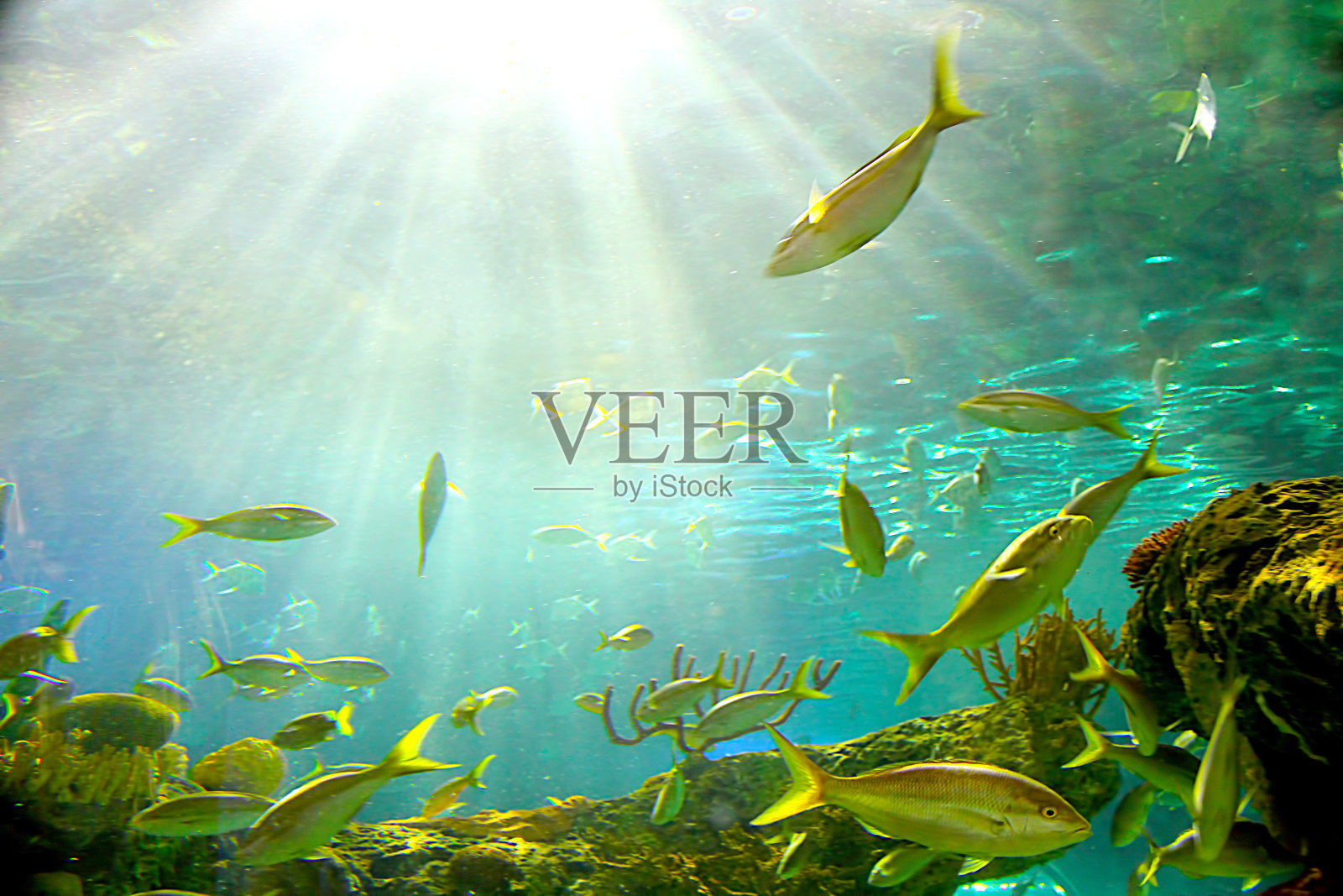 摘要水下背景照片摄影图片