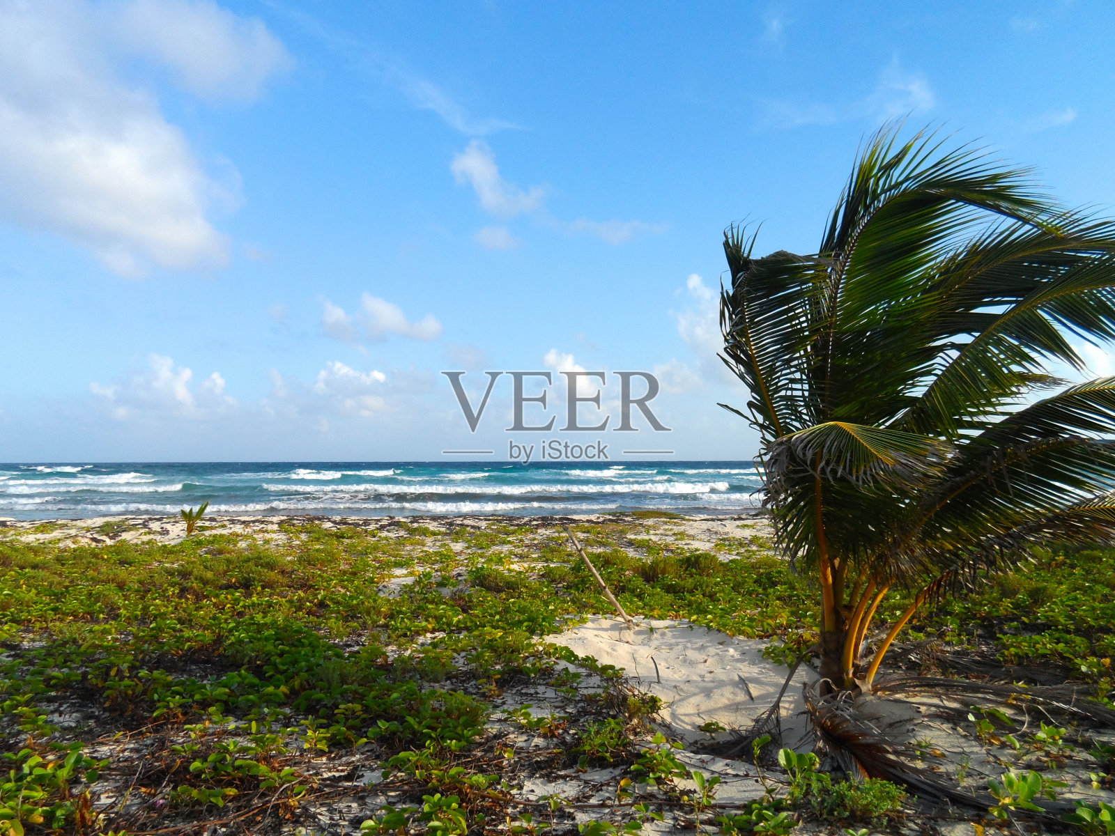 狂野的一面照片摄影图片