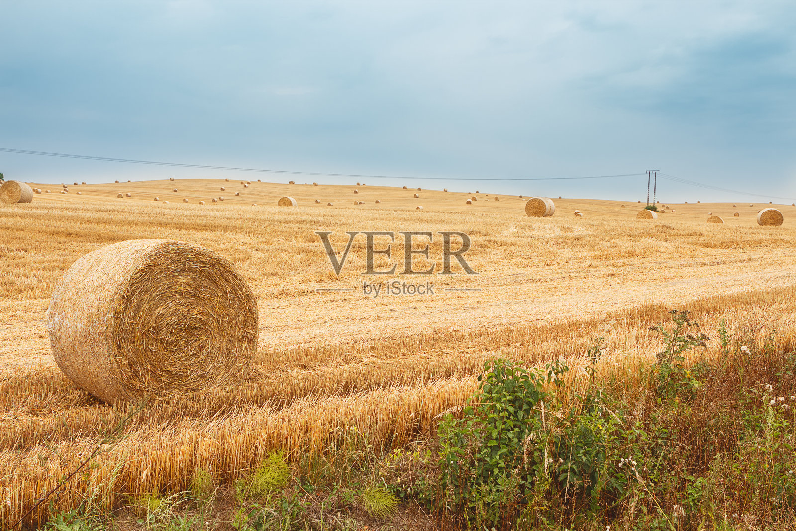 田里的干草捆照片摄影图片