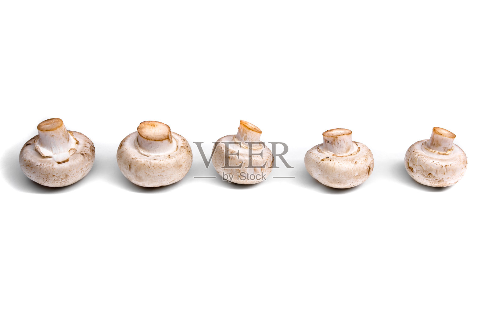 新鲜香菇分离上白色照片摄影图片