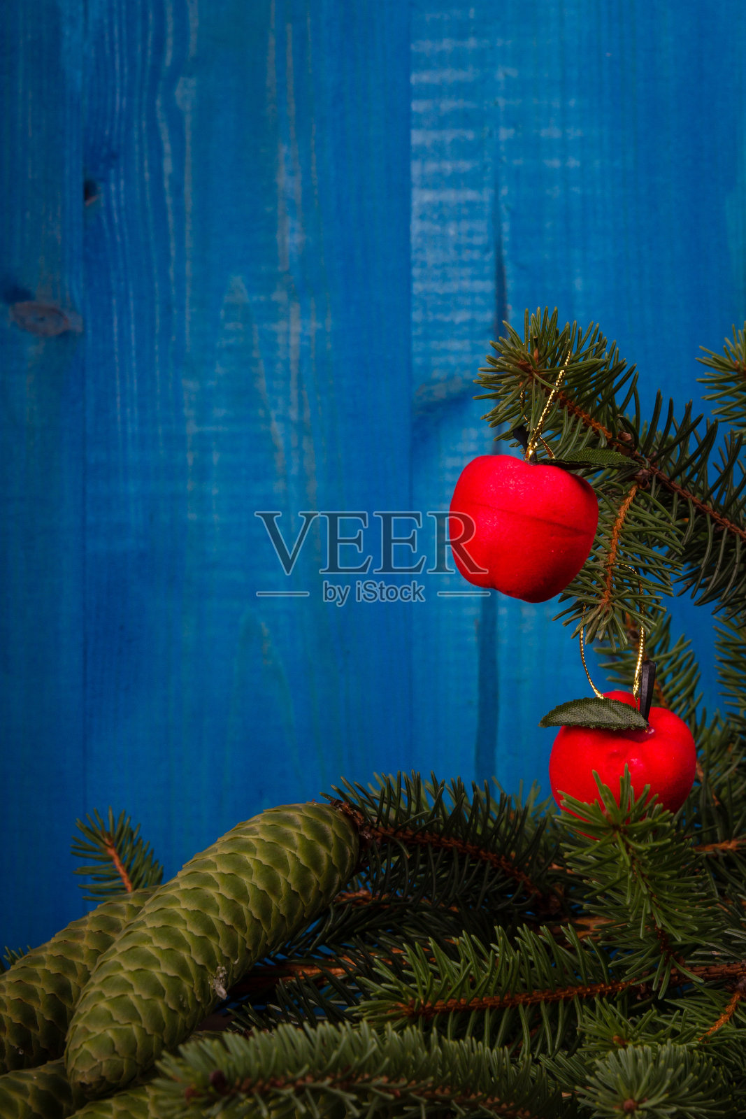 在木板上有圆果和小苹果的云杉树枝照片摄影图片