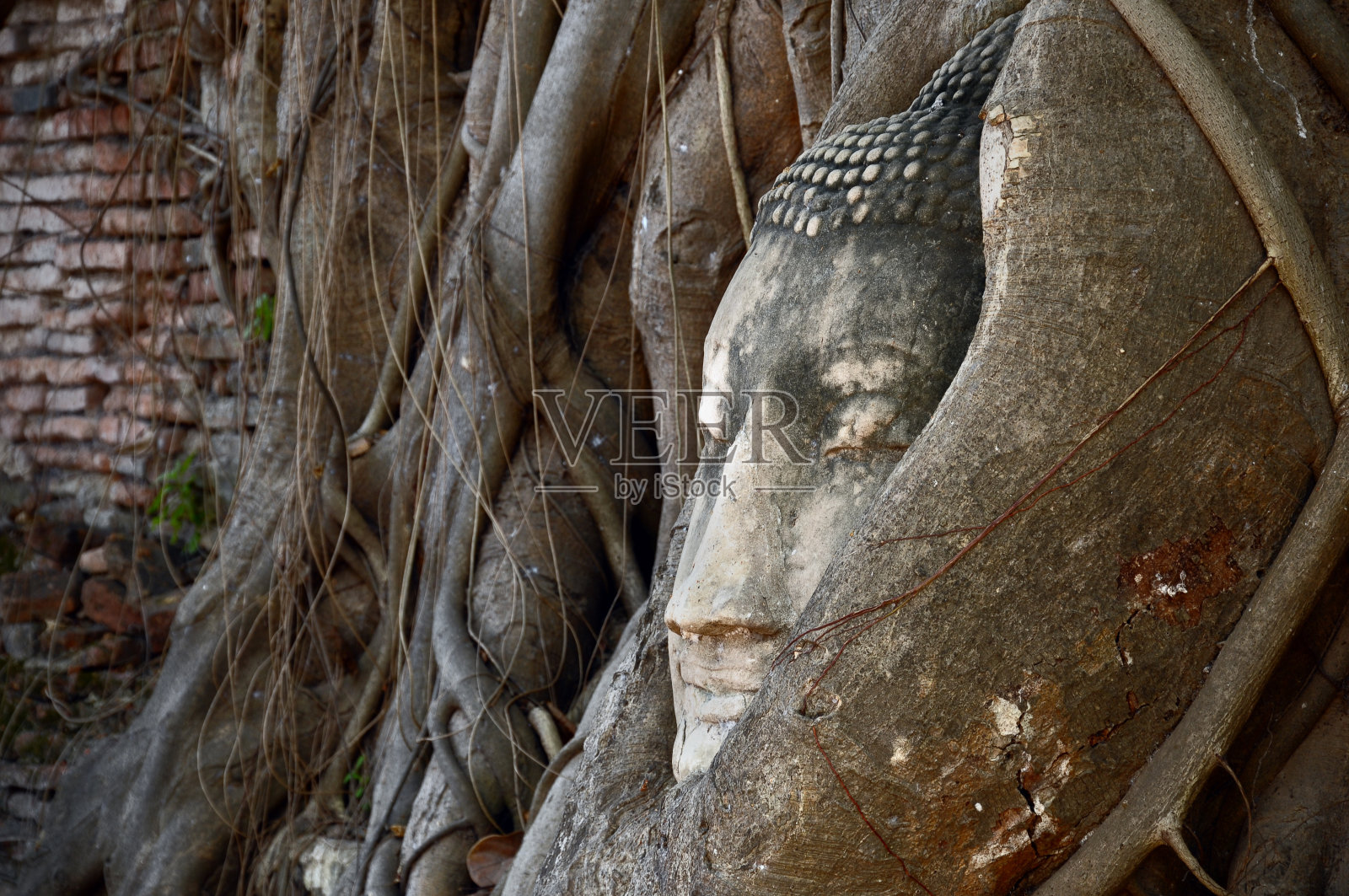 泰国砂岩佛像头部照片摄影图片