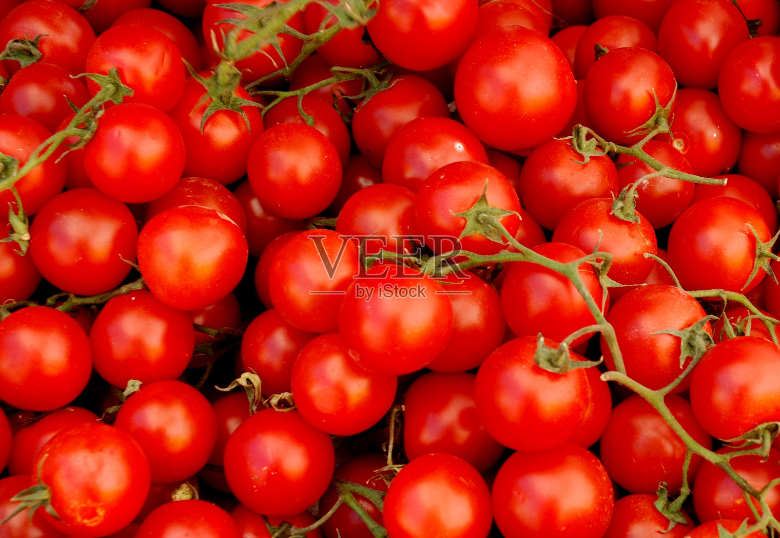 西红柿照片摄影图片