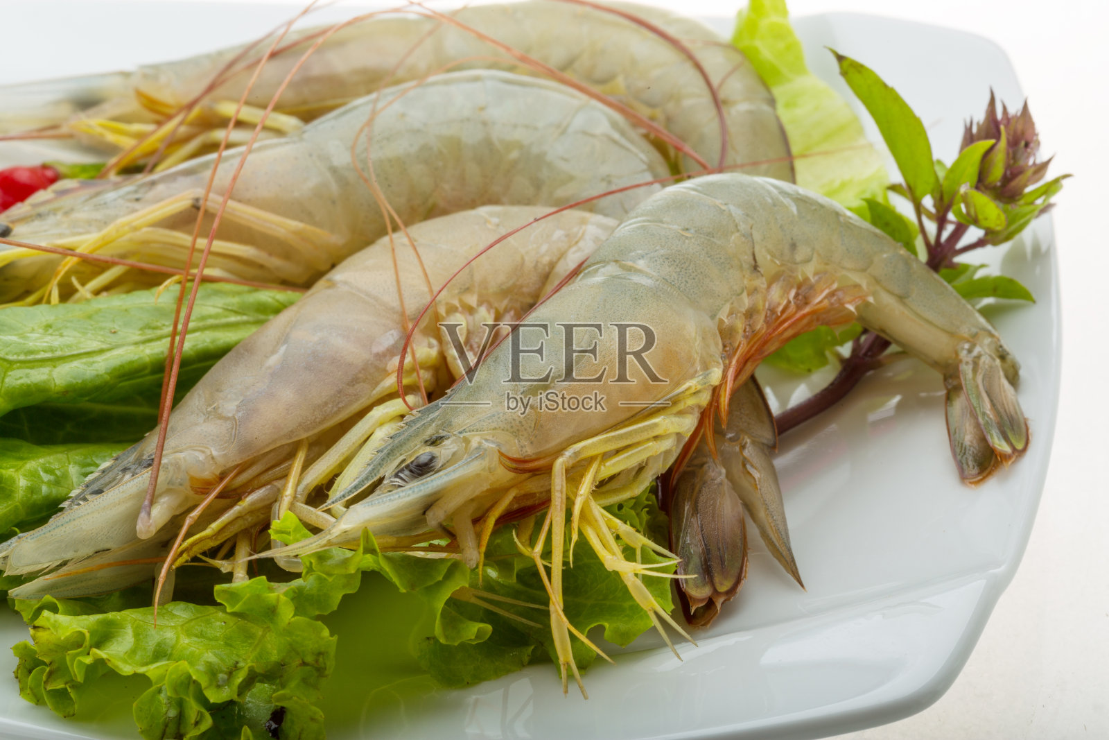 生虎虾照片摄影图片