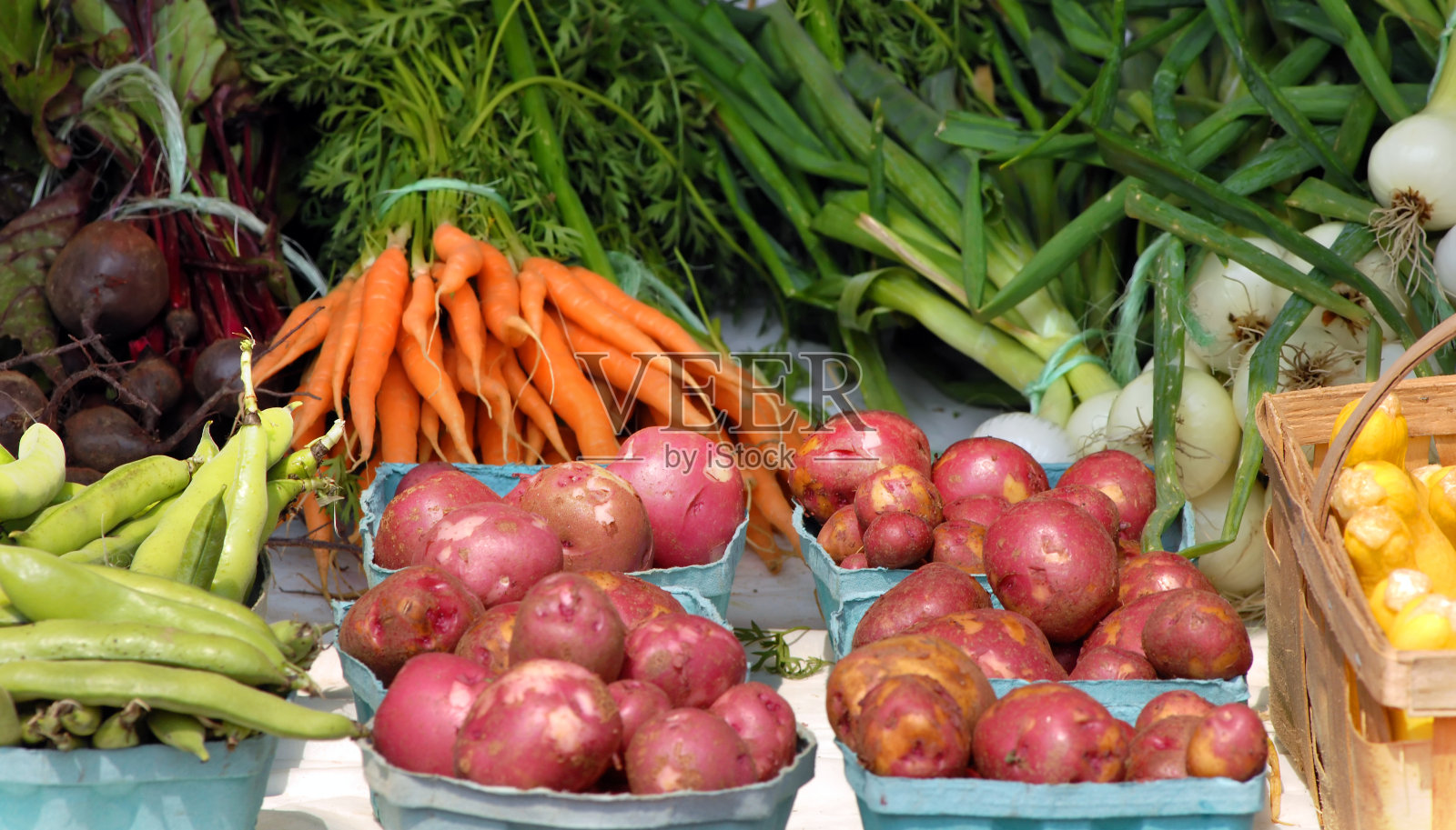 亚米希人生产照片摄影图片
