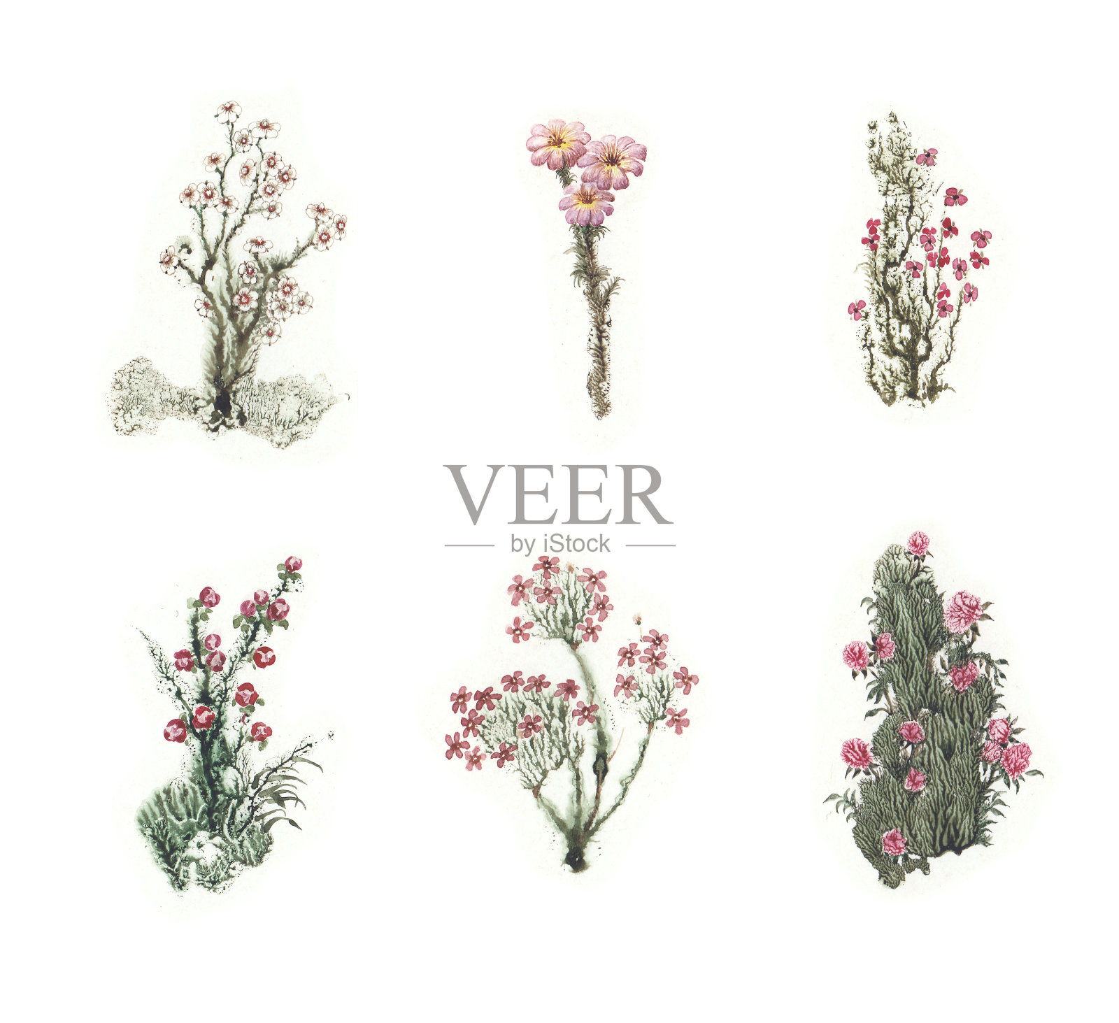 美丽童话系列的彩色水彩花。组2插画图片素材