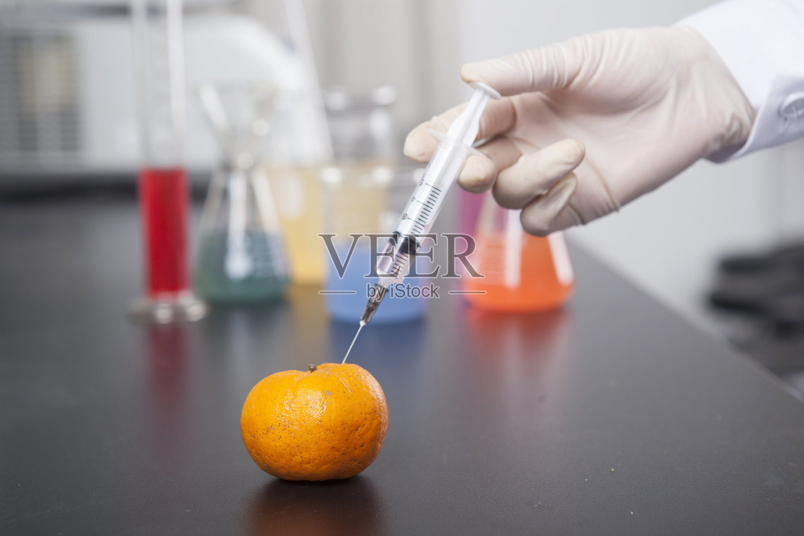 做柑桔栽培试验照片摄影图片