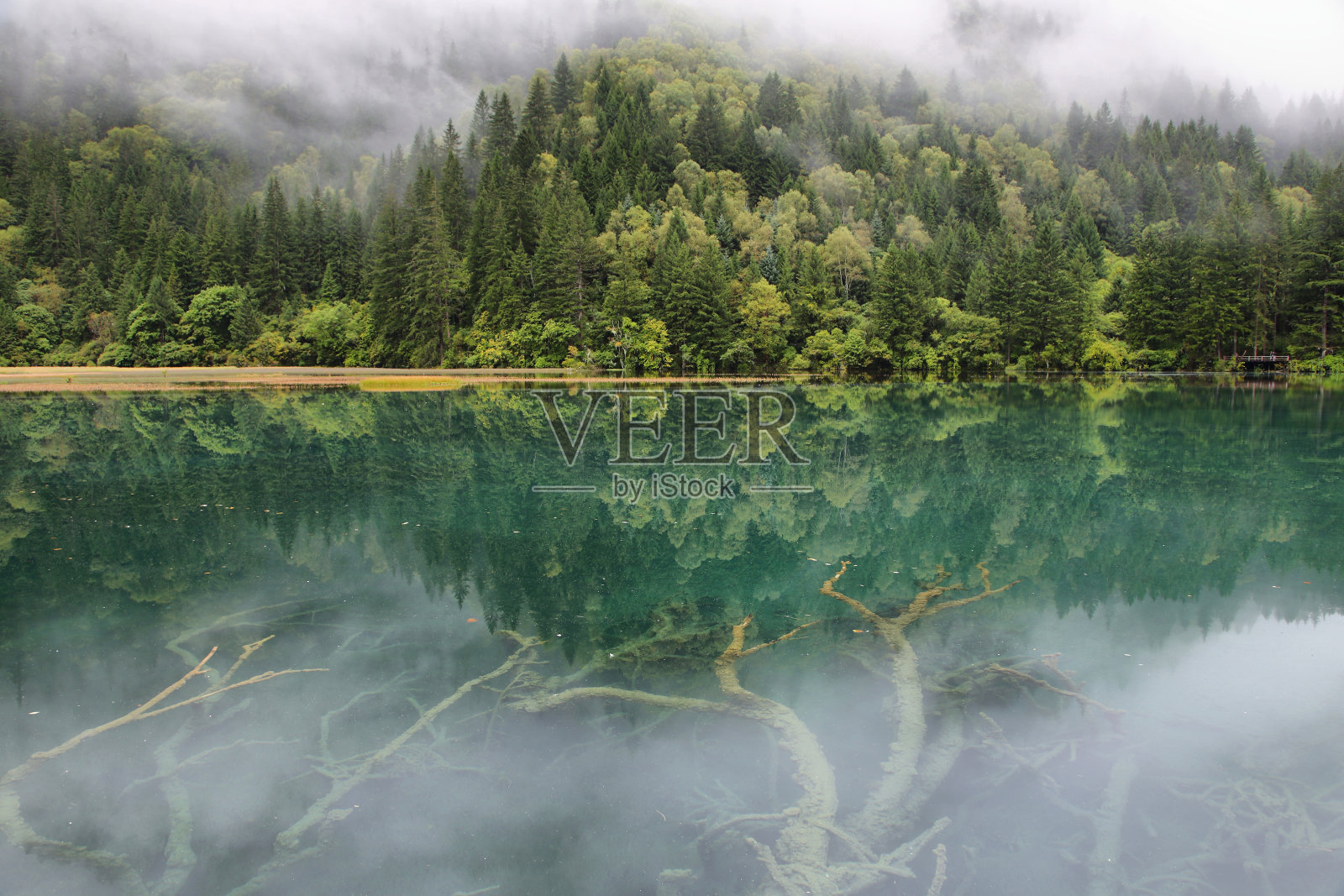 箭竹湖在九寨沟，中国，亚洲照片摄影图片
