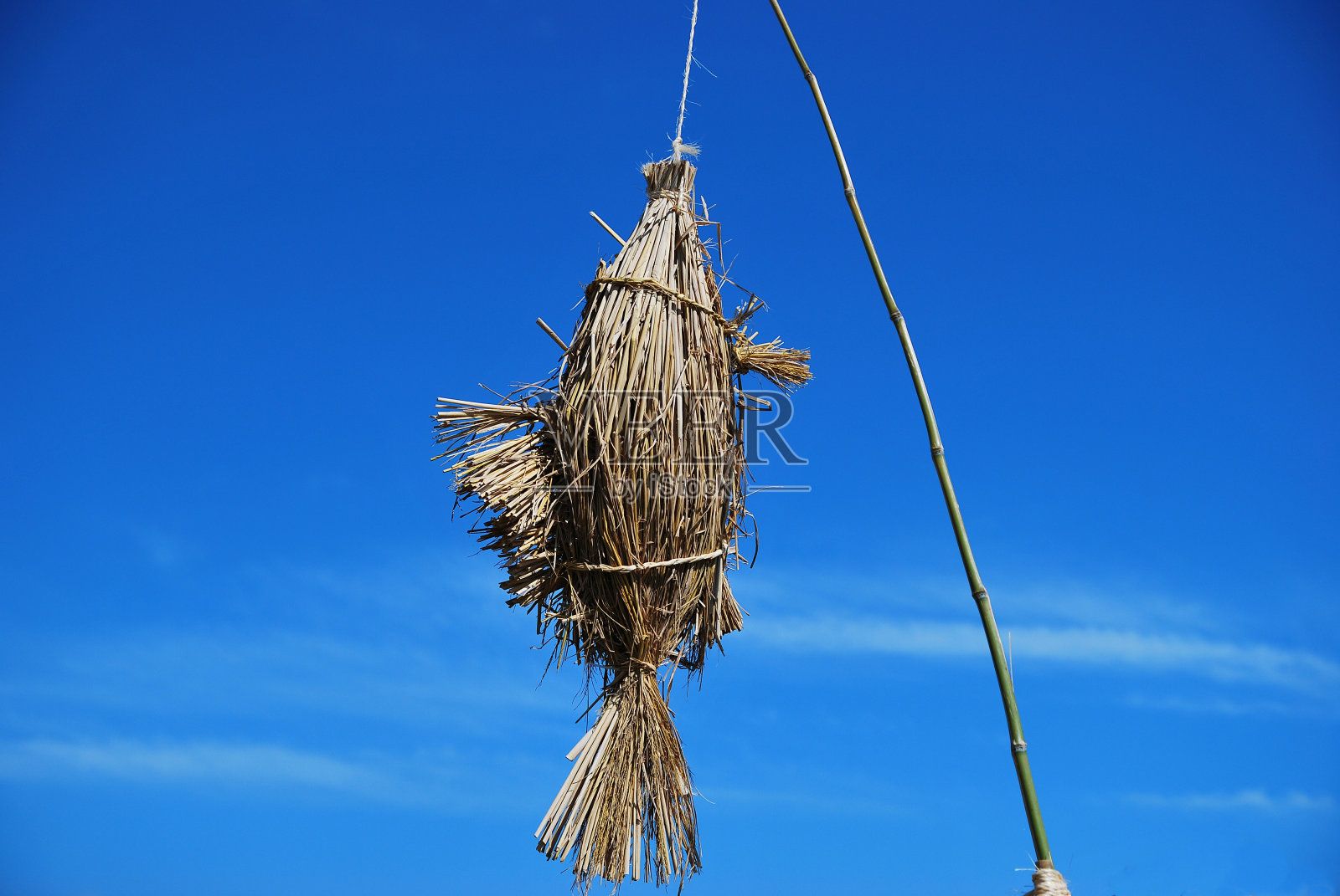 手工稻草鱼照片摄影图片