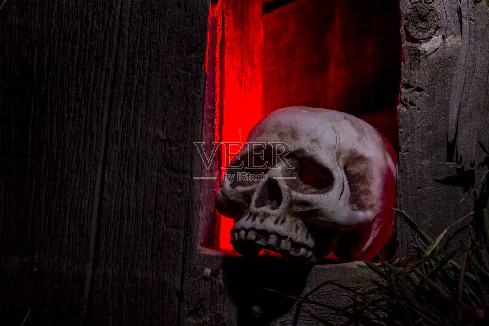 万圣节骷髅和装饰照片摄影图片