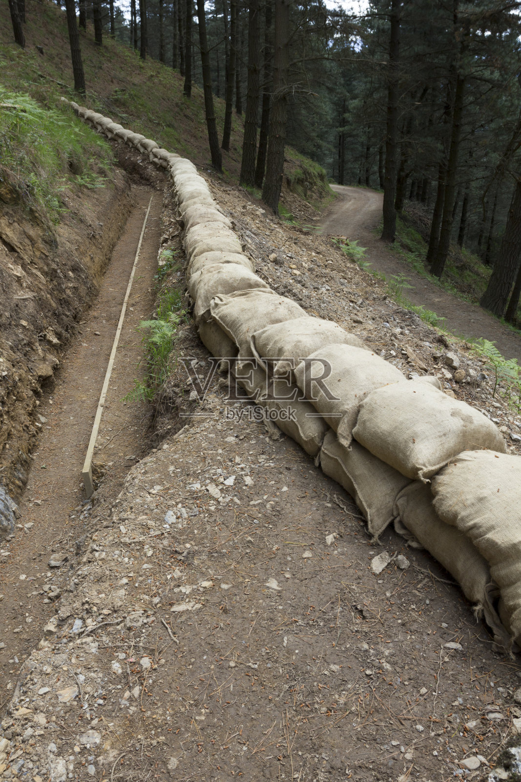 森林中的壕沟照片摄影图片