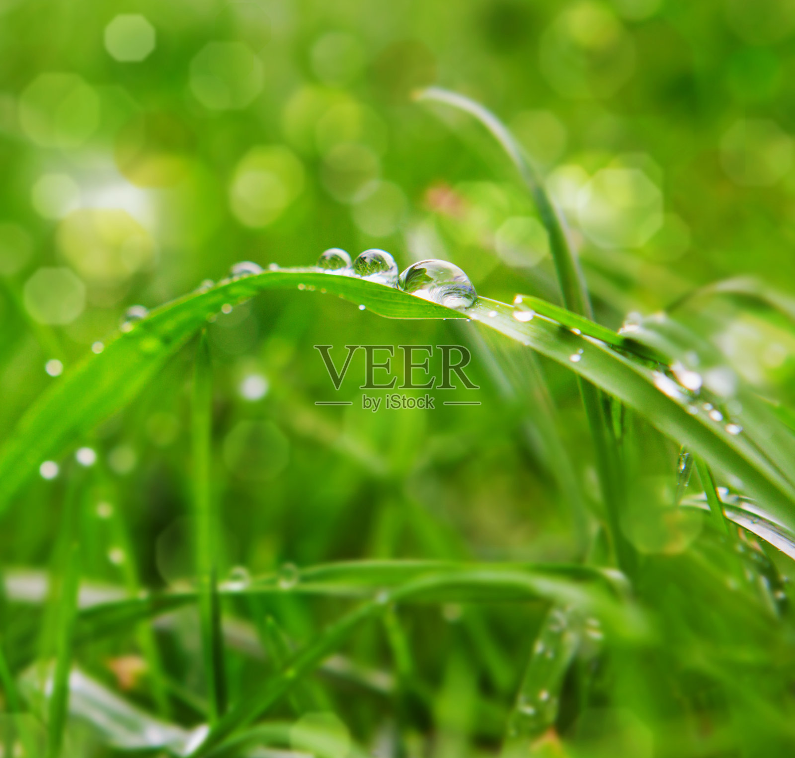 水滴。照片摄影图片