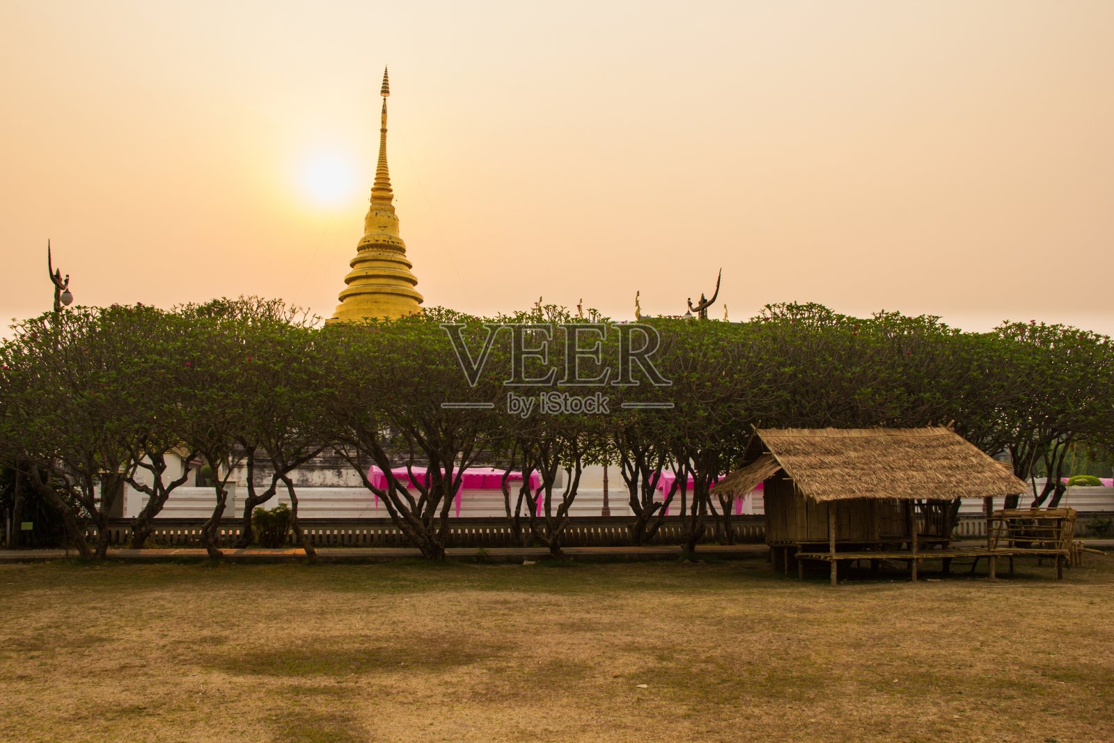 金塔在日出的时候照片摄影图片