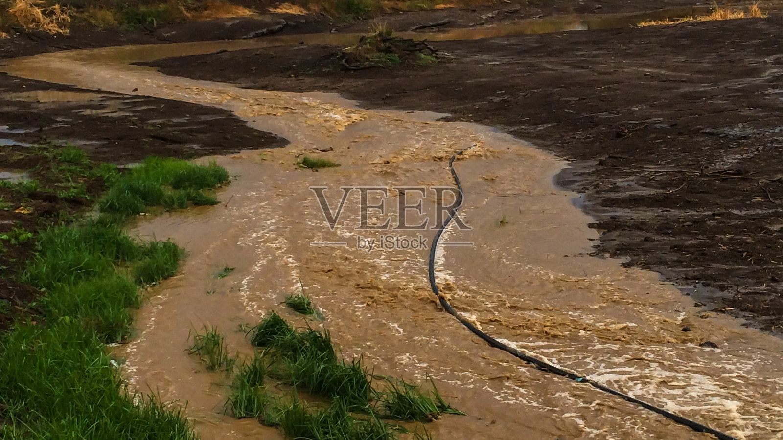 第一个雨季照片摄影图片