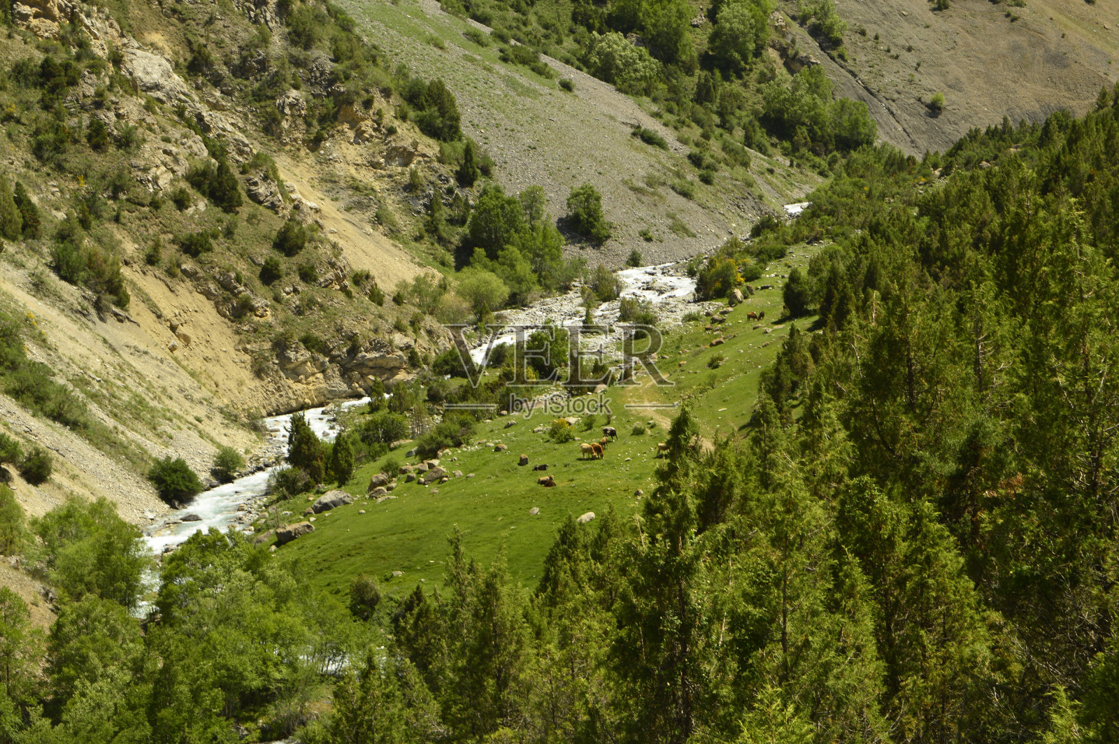 高山河流，Galuyan峡谷，吉尔吉斯斯坦照片摄影图片