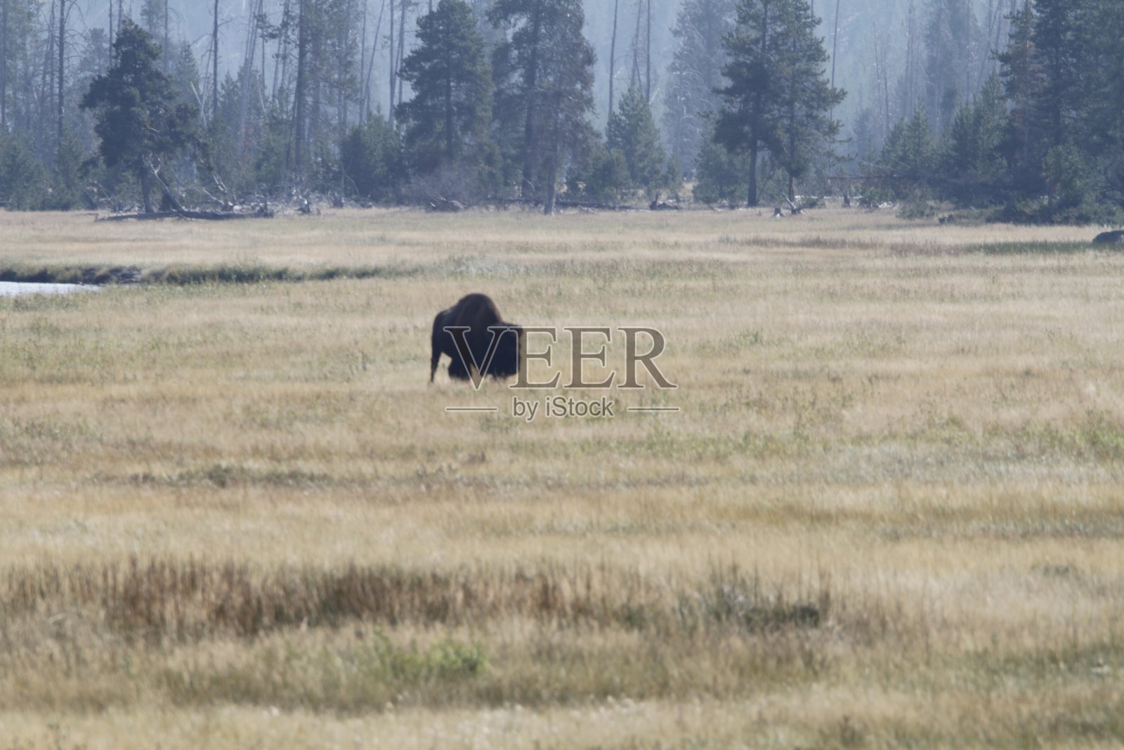 黄石国家公园大提顿山照片摄影图片