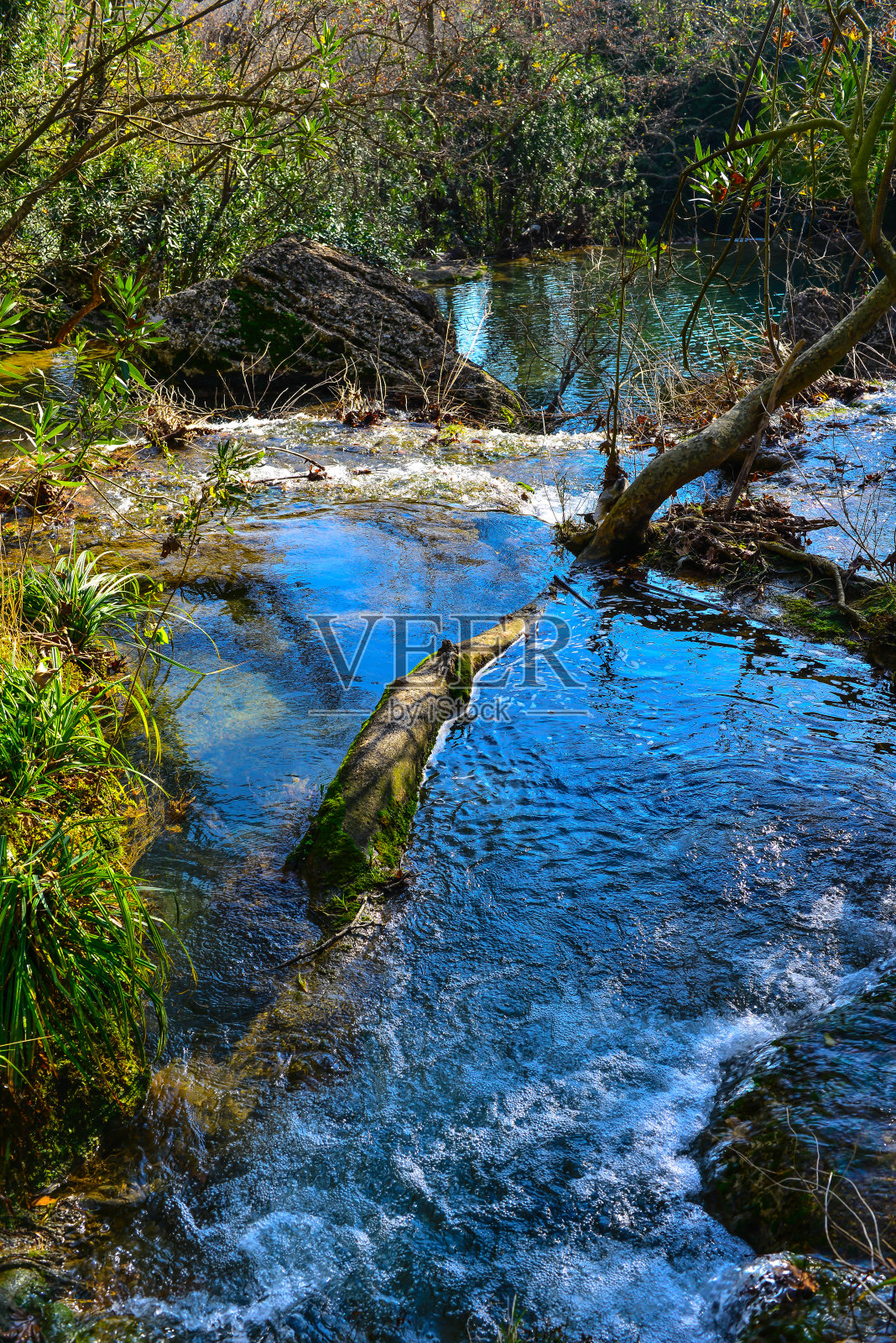 森林中的湖泊照片摄影图片