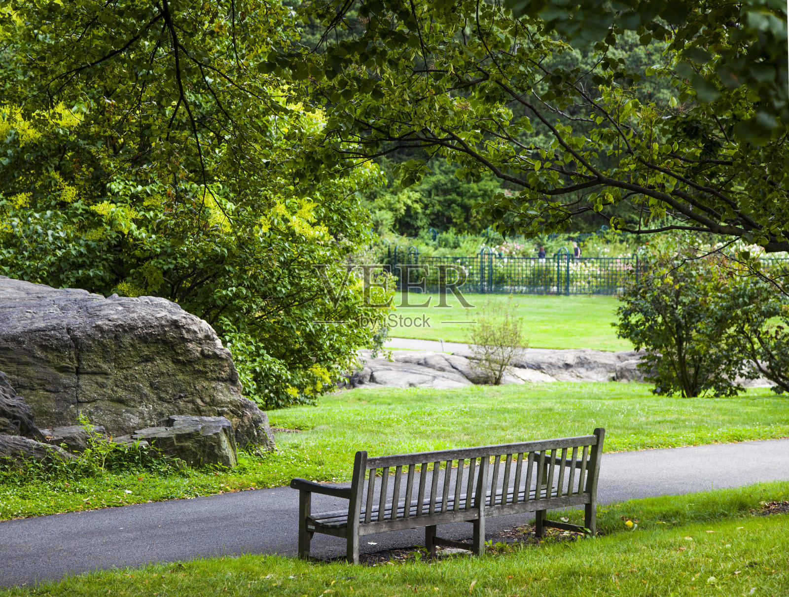 植物园照片摄影图片