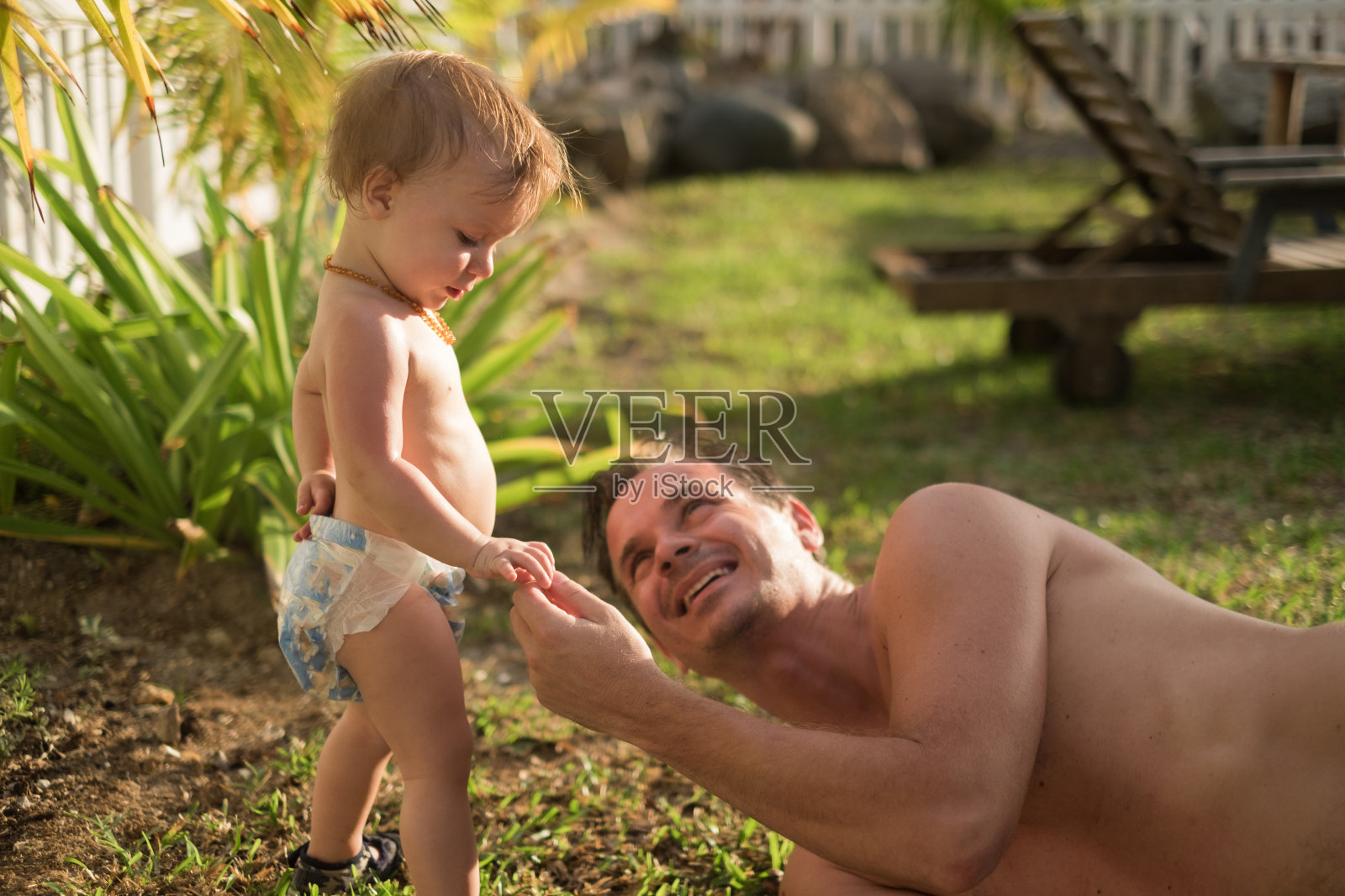 在花园里找坚果照片摄影图片