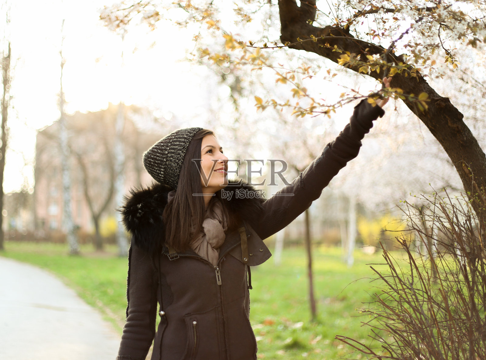 公园里的女孩和开花的树照片摄影图片