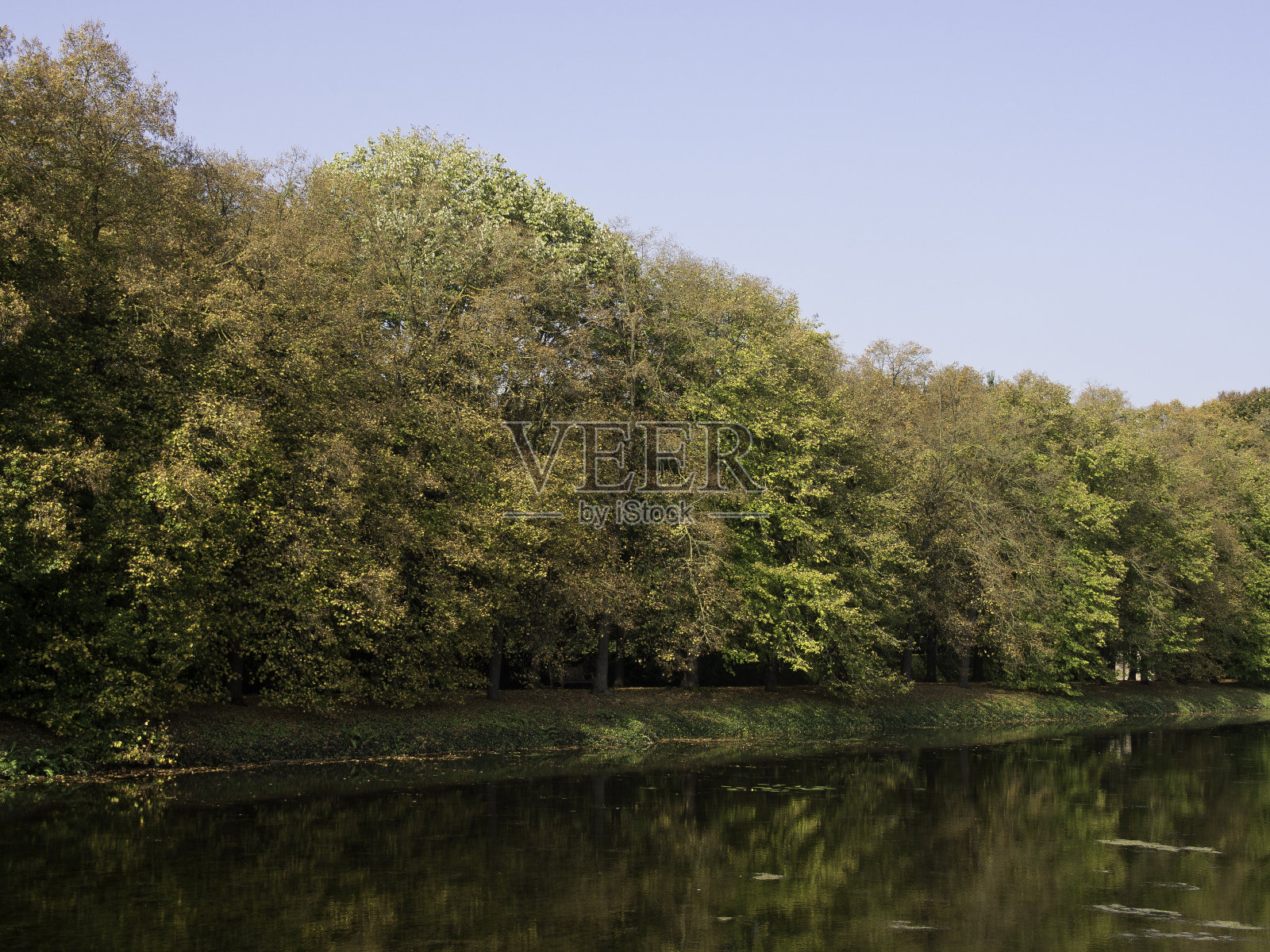 公园照片摄影图片