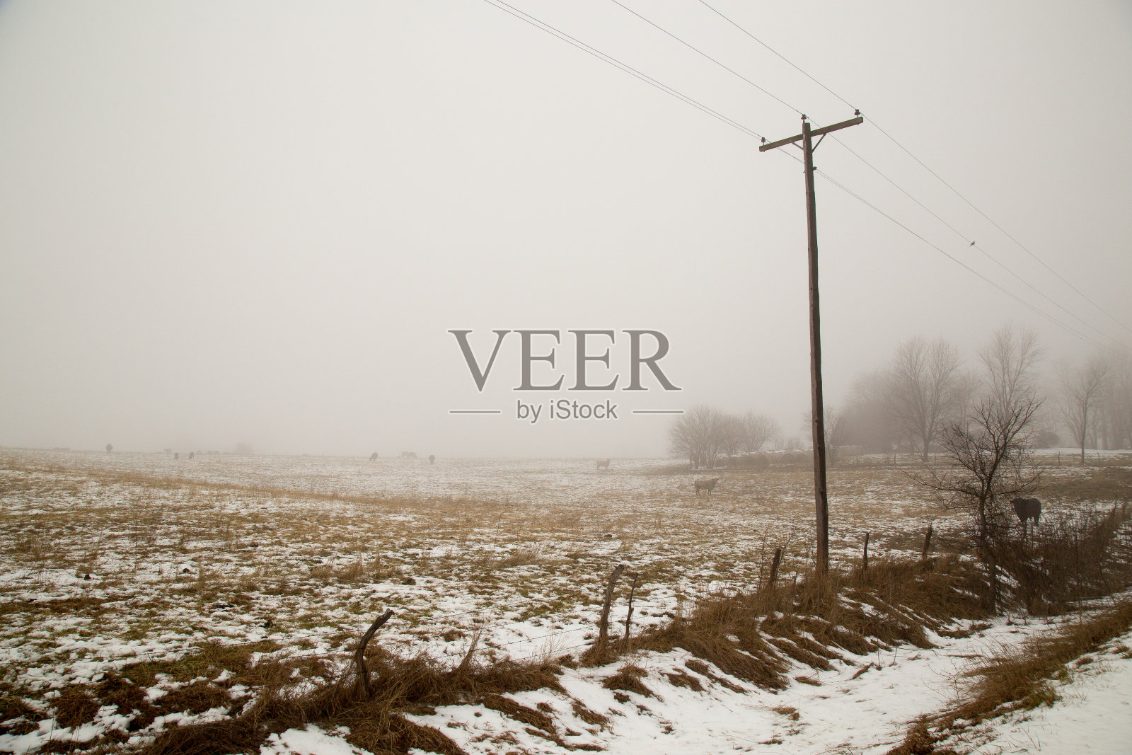 雪覆盖的乡村土路和电线杆照片摄影图片