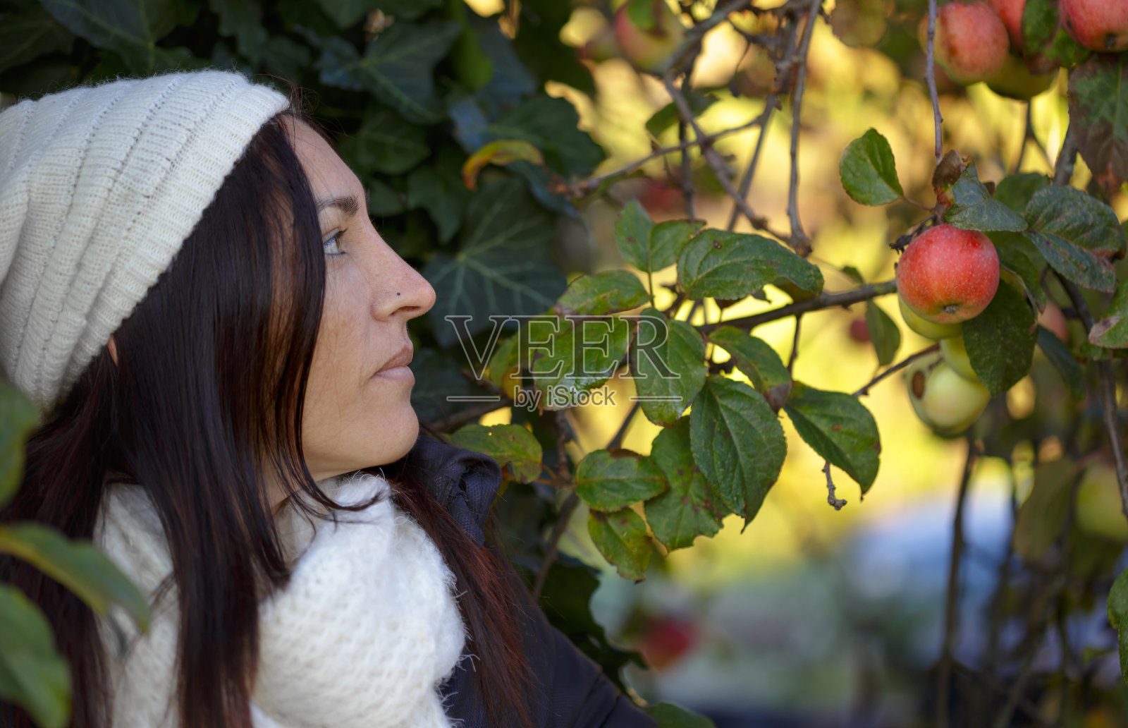 年轻迷人的褐发女人的特写肖像在一个阳光明媚的冬天照片摄影图片