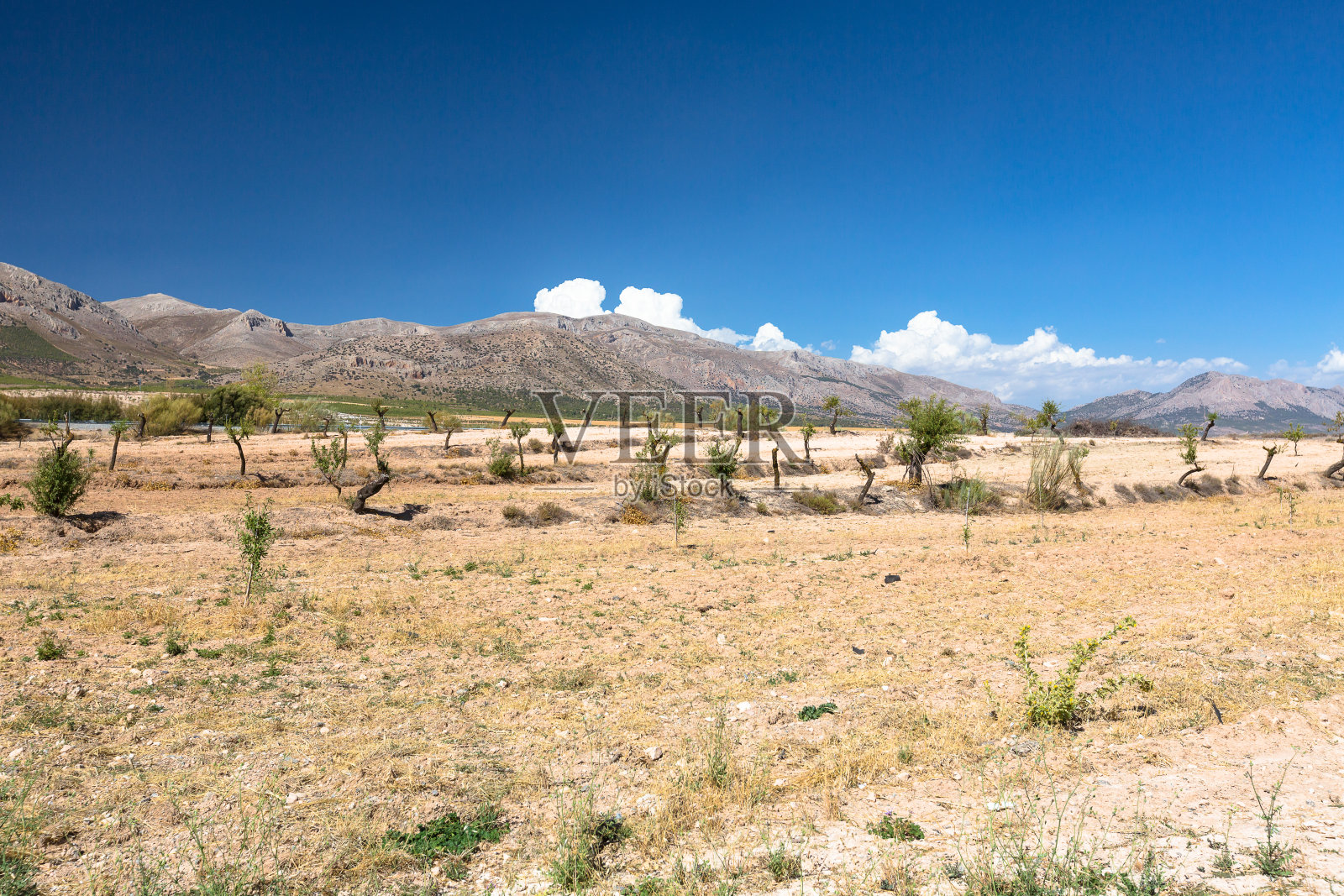 西班牙的自然，乡村景观照片摄影图片