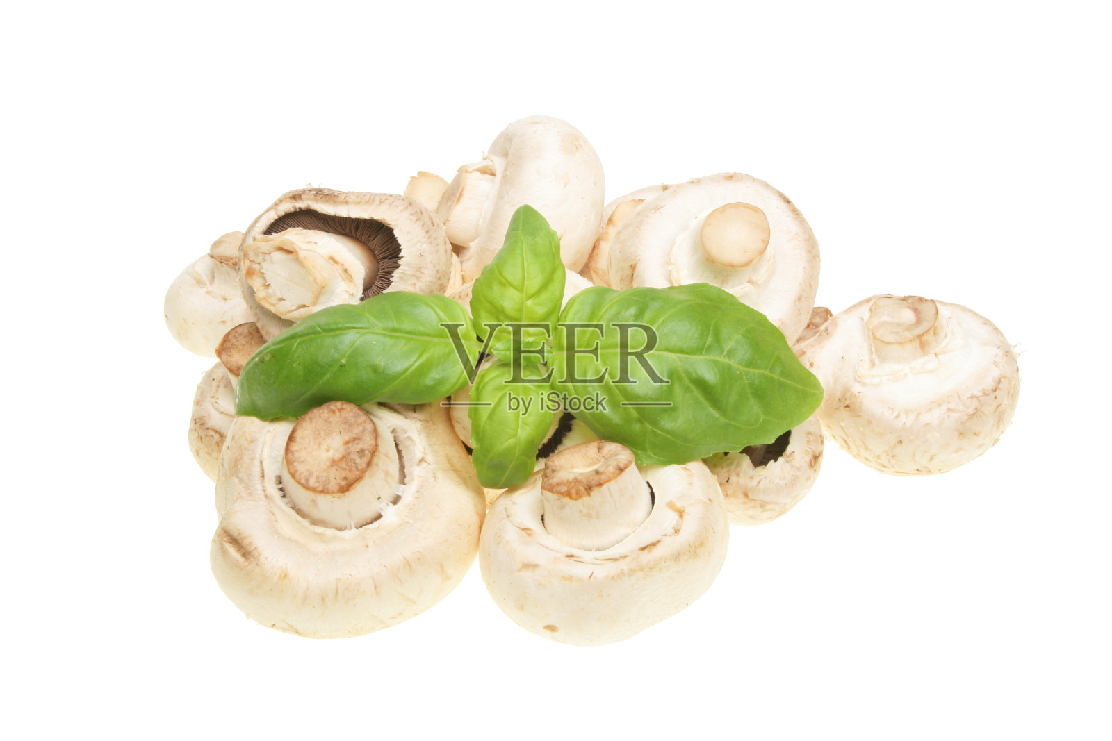 蘑菇和罗勒照片摄影图片