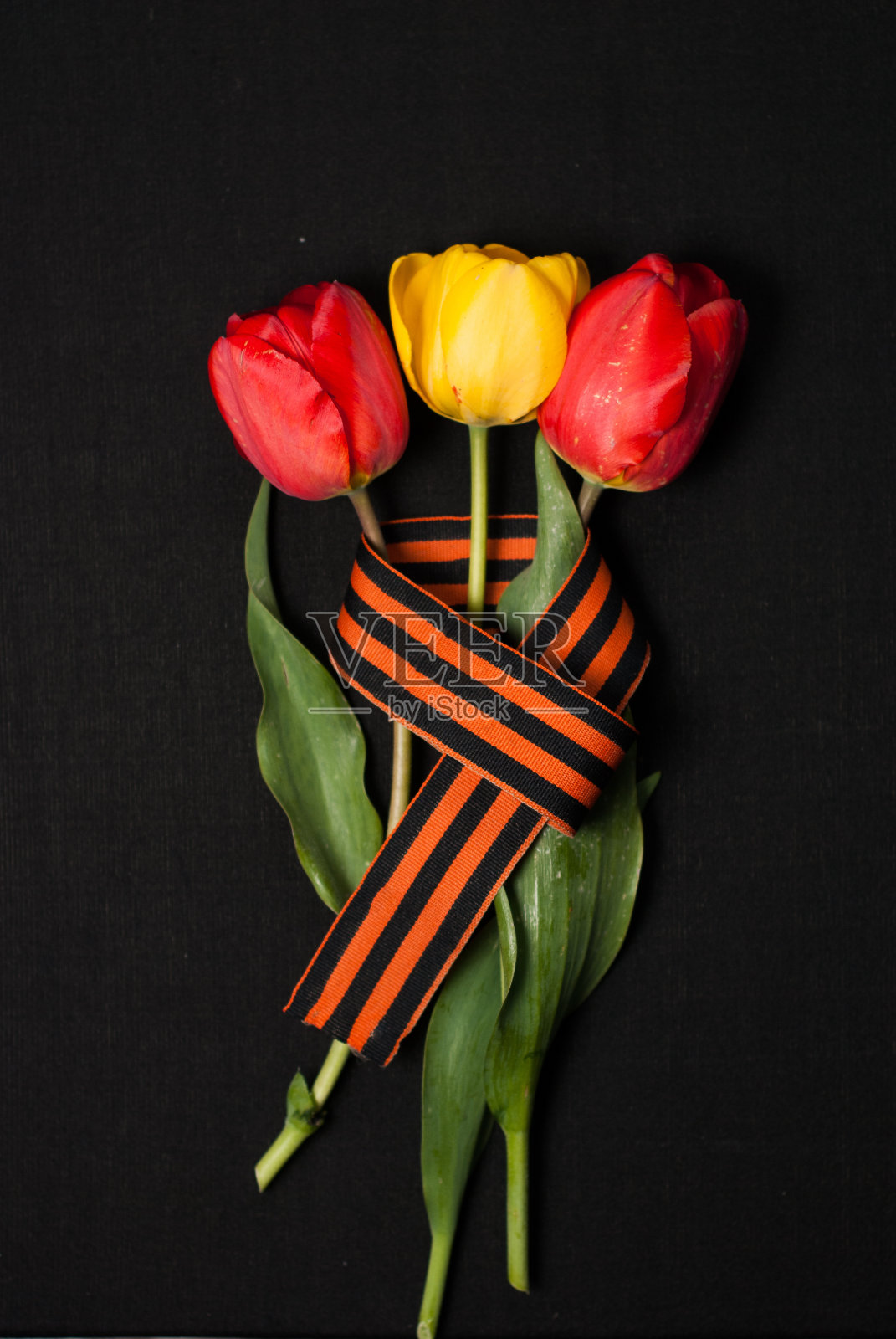 乔治丝带，红色和黄色的郁金香照片摄影图片