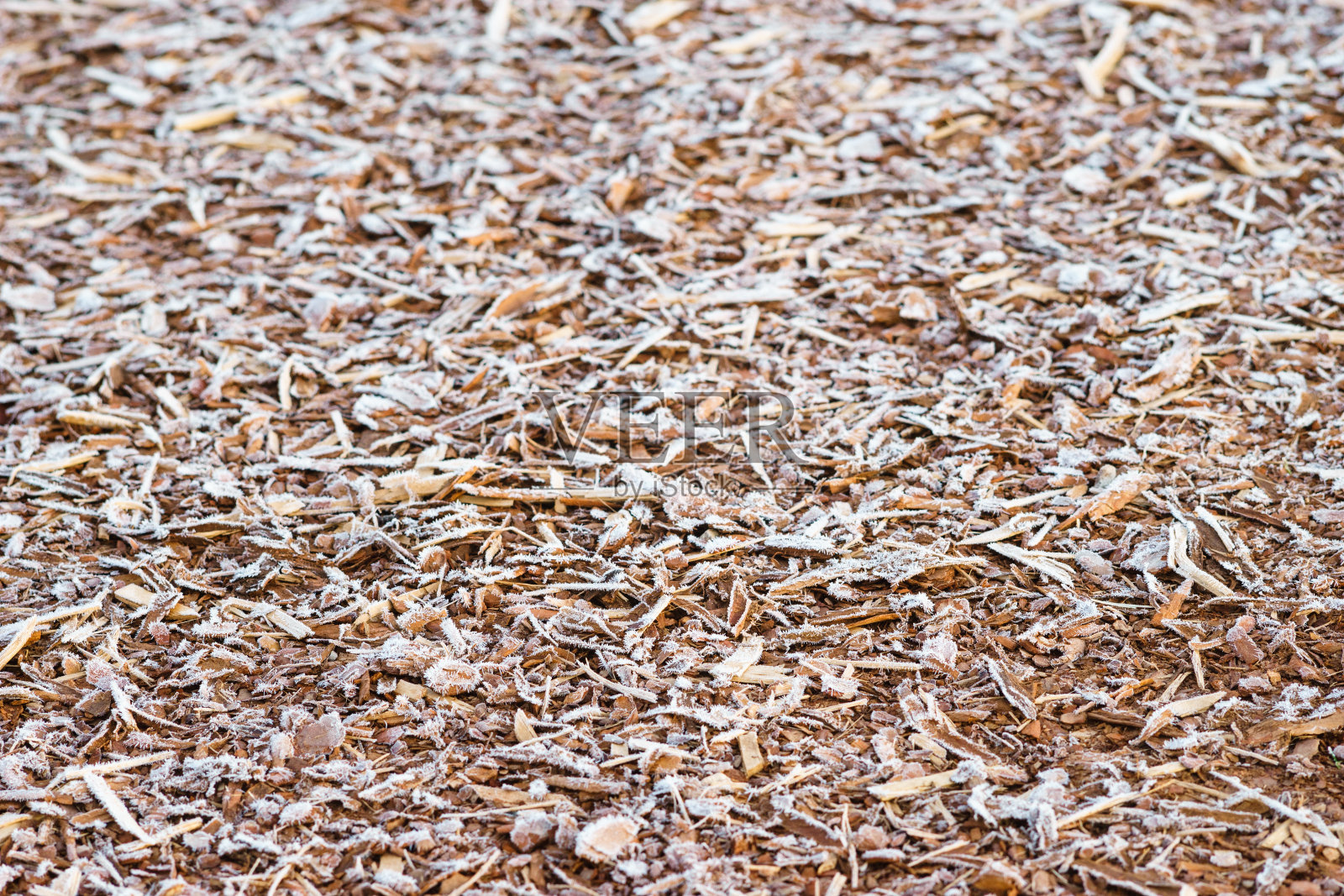 被晨霜覆盖的天然树皮照片摄影图片