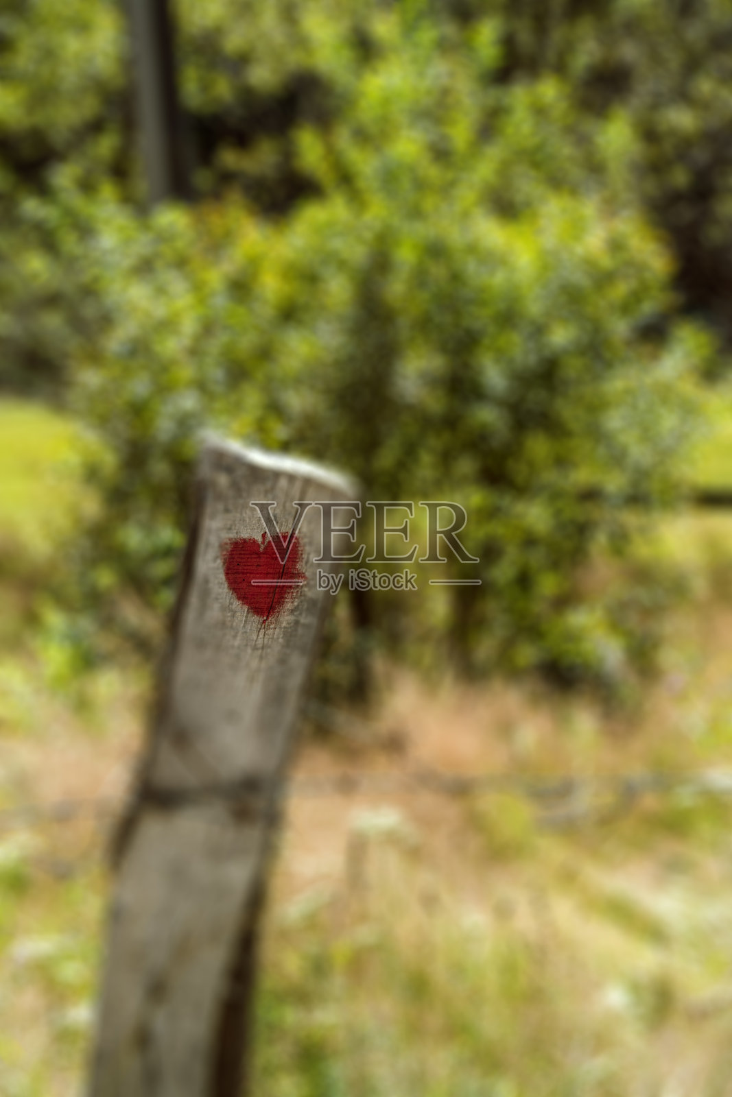 旧木栅栏上画着爱的象征照片摄影图片