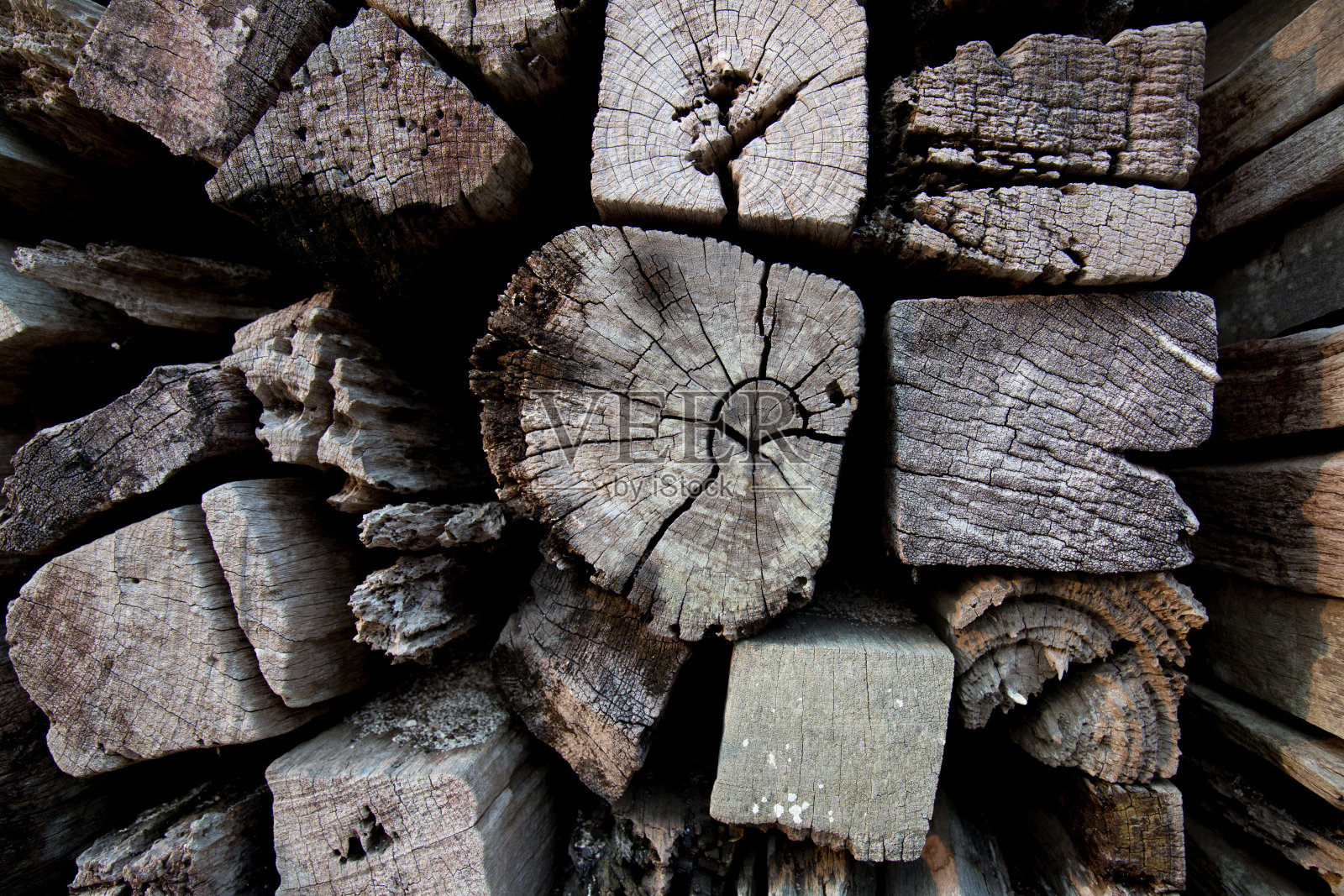 老木。照片摄影图片