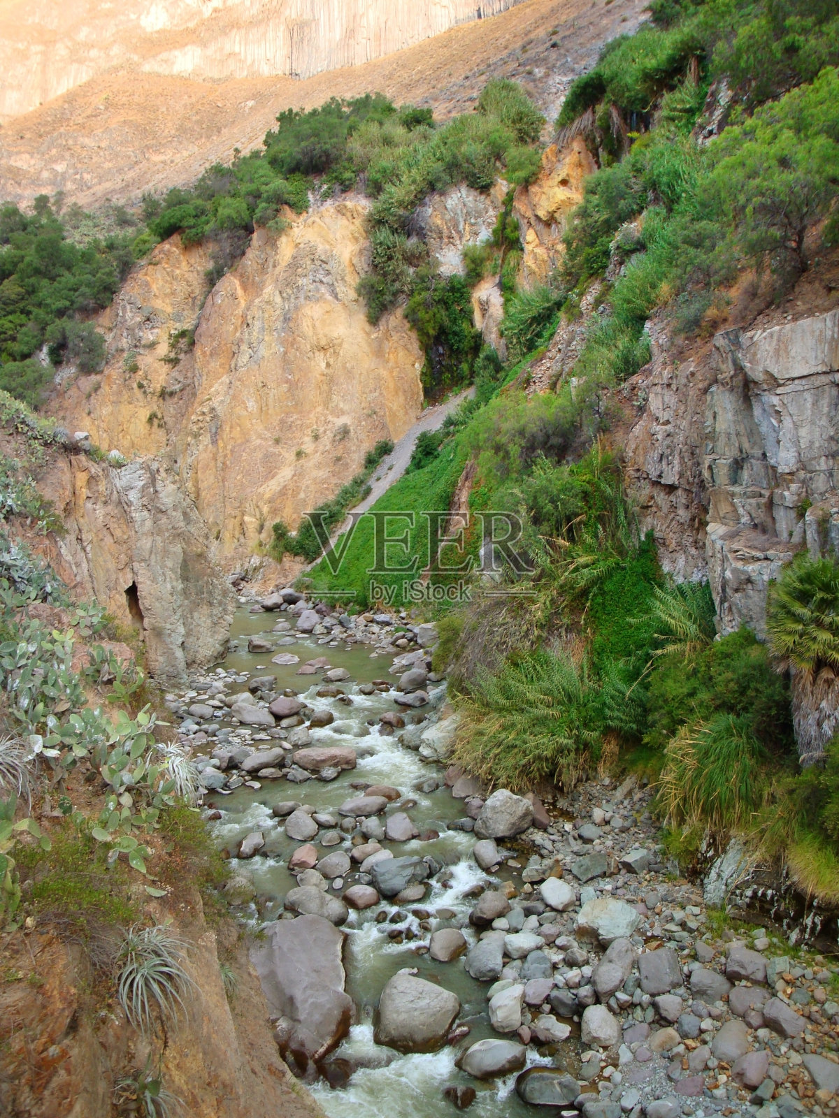 科尔卡峡谷的植被照片摄影图片