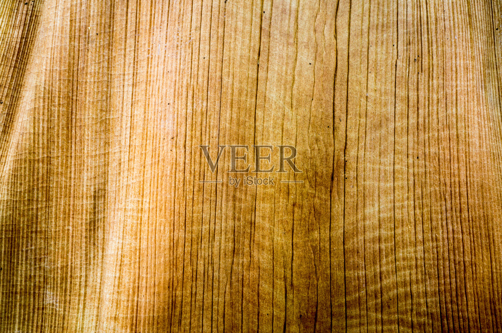 树皮花纹照片摄影图片