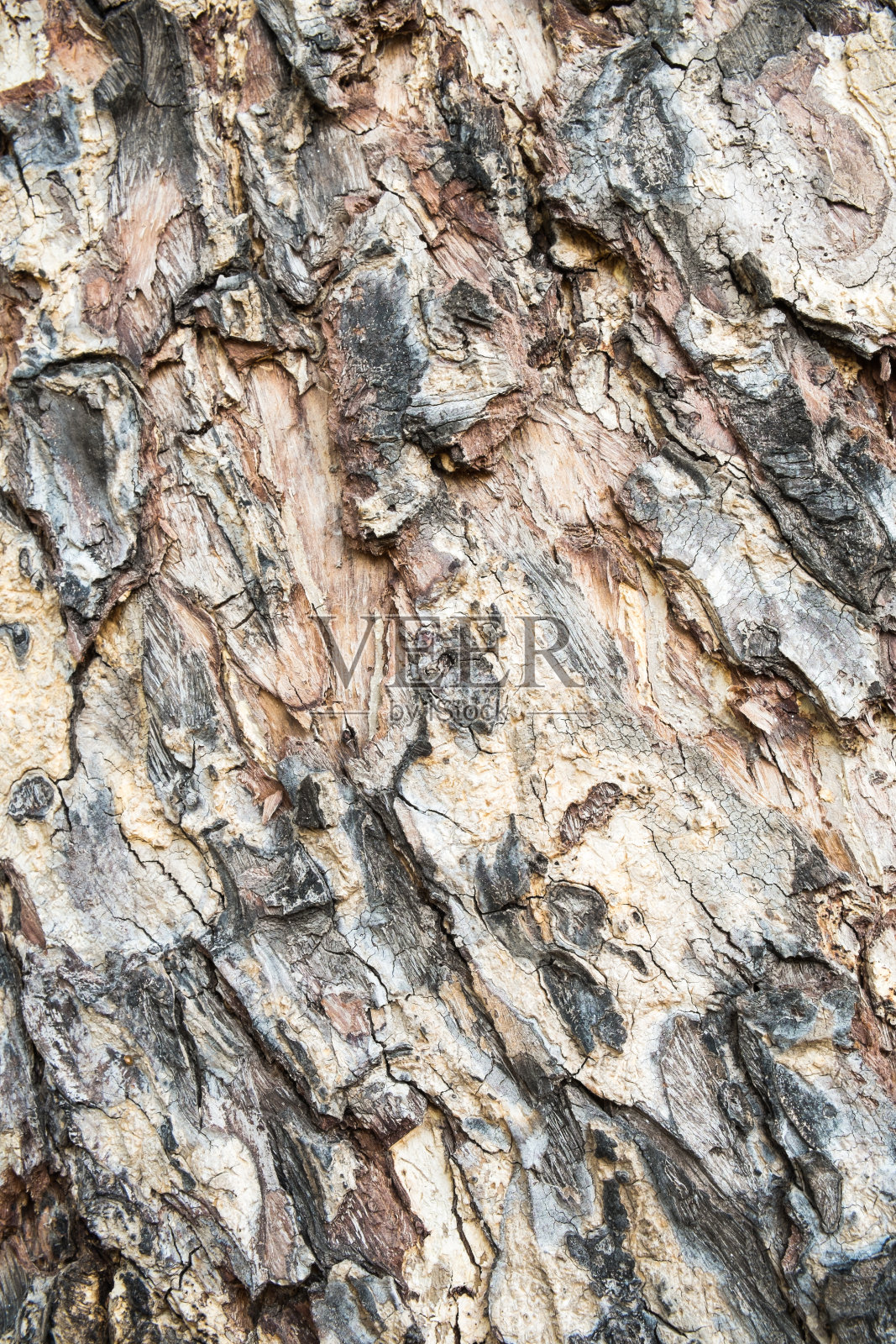 木皮图案纹理照片摄影图片