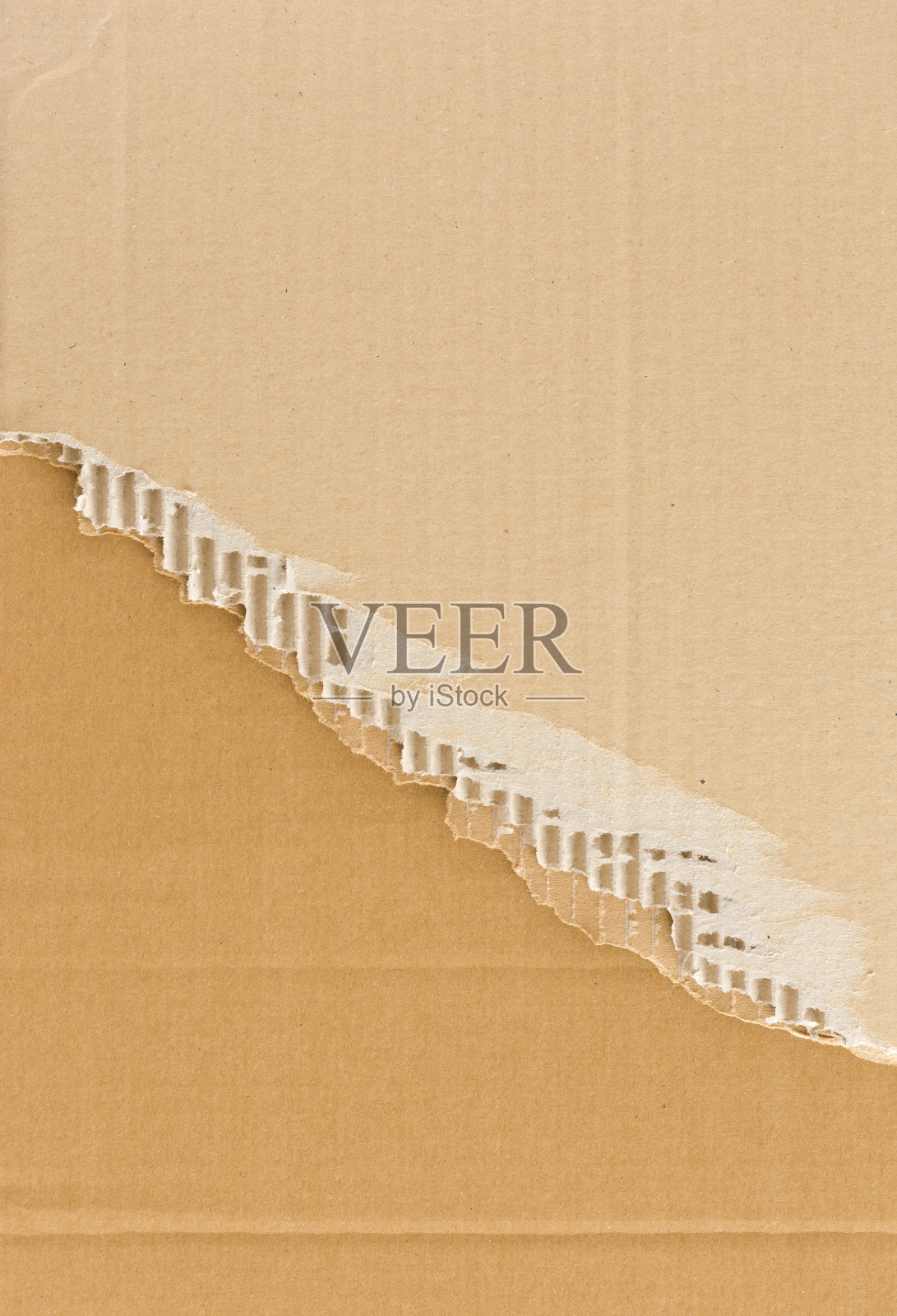 撕裂瓦楞纸板照片摄影图片