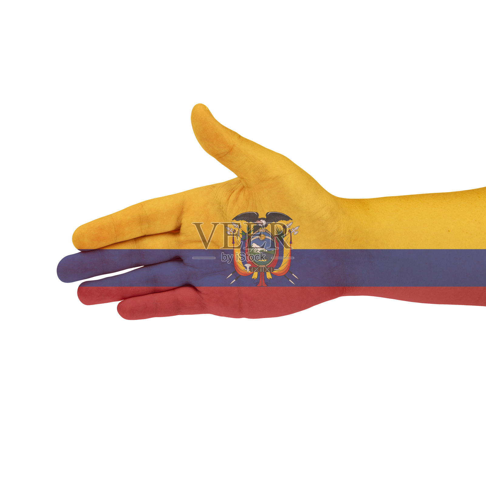 手握厄瓜多尔国旗，白色背景上孤立照片摄影图片