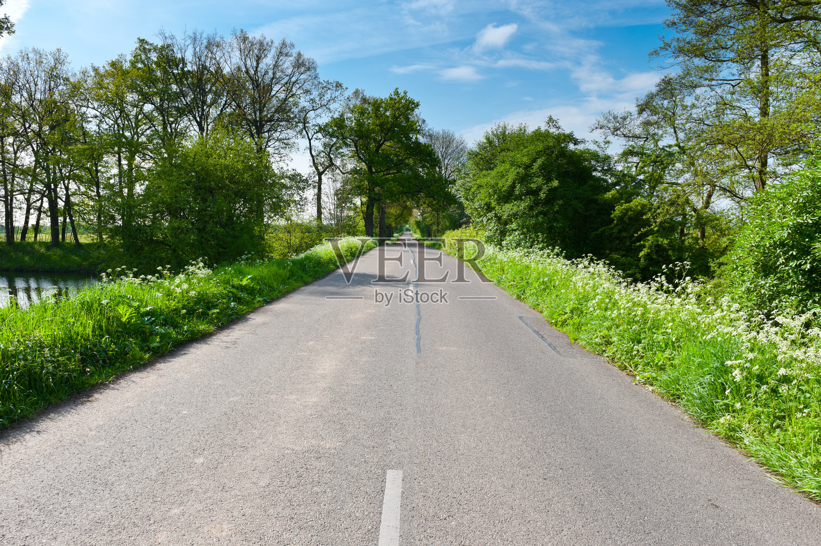 路在荷兰照片摄影图片