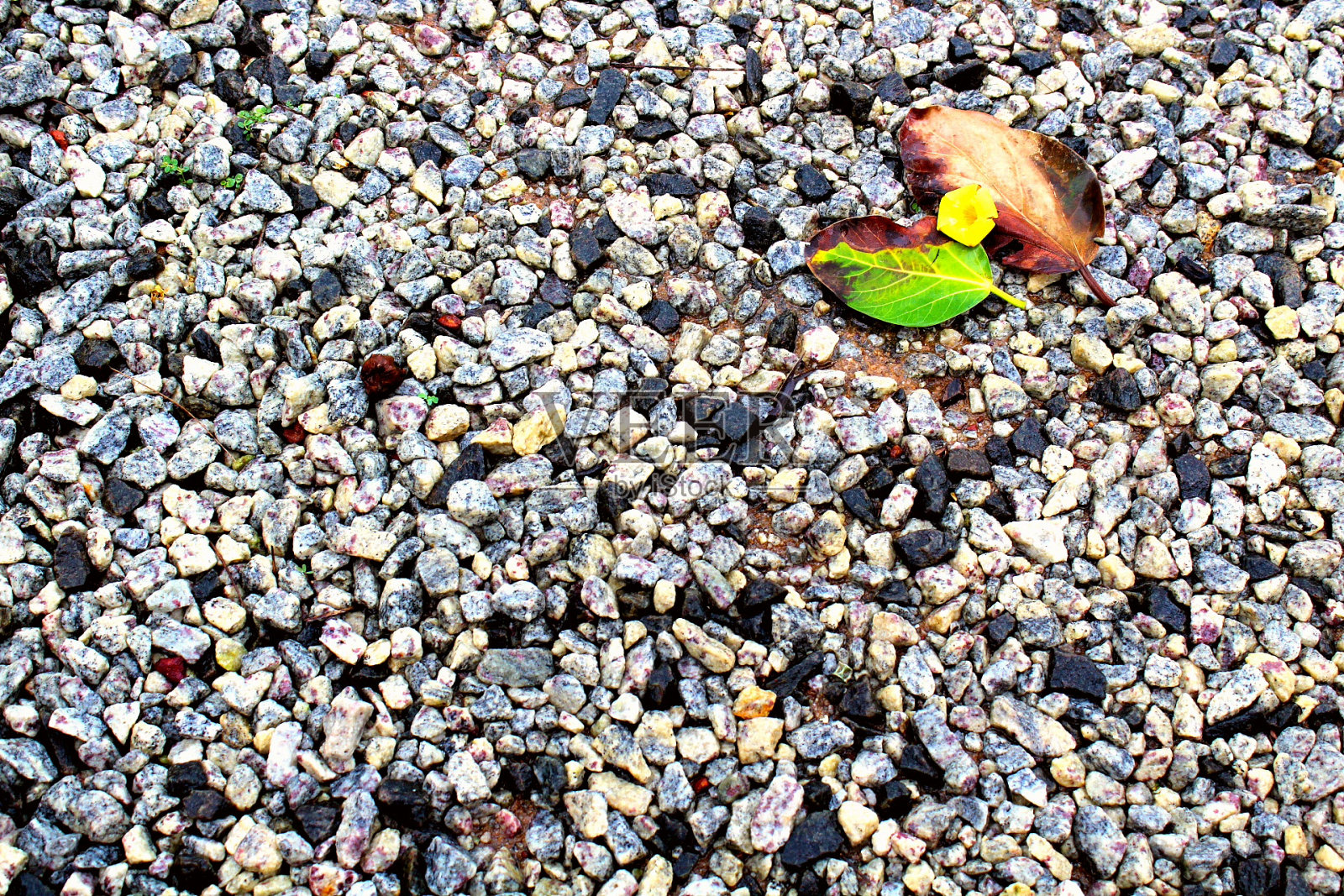 生活照片摄影图片