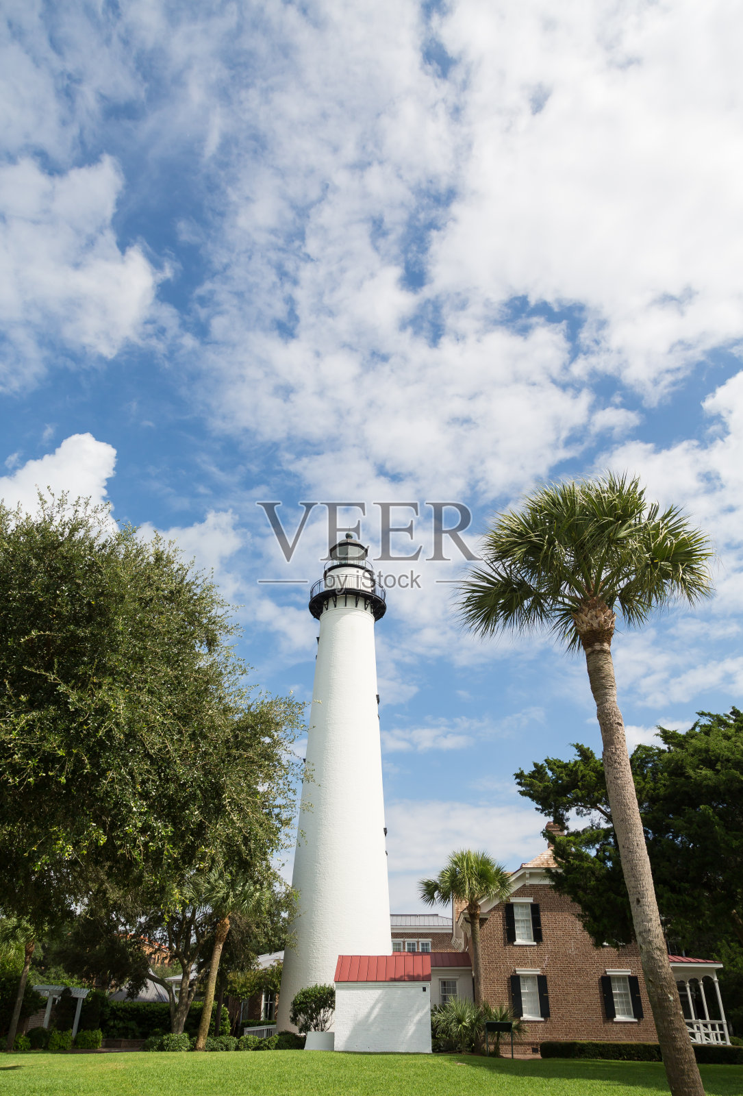 棕榈树外的白色灯塔照片摄影图片