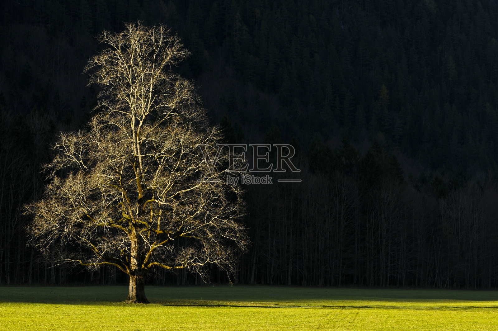 和孤独照片摄影图片