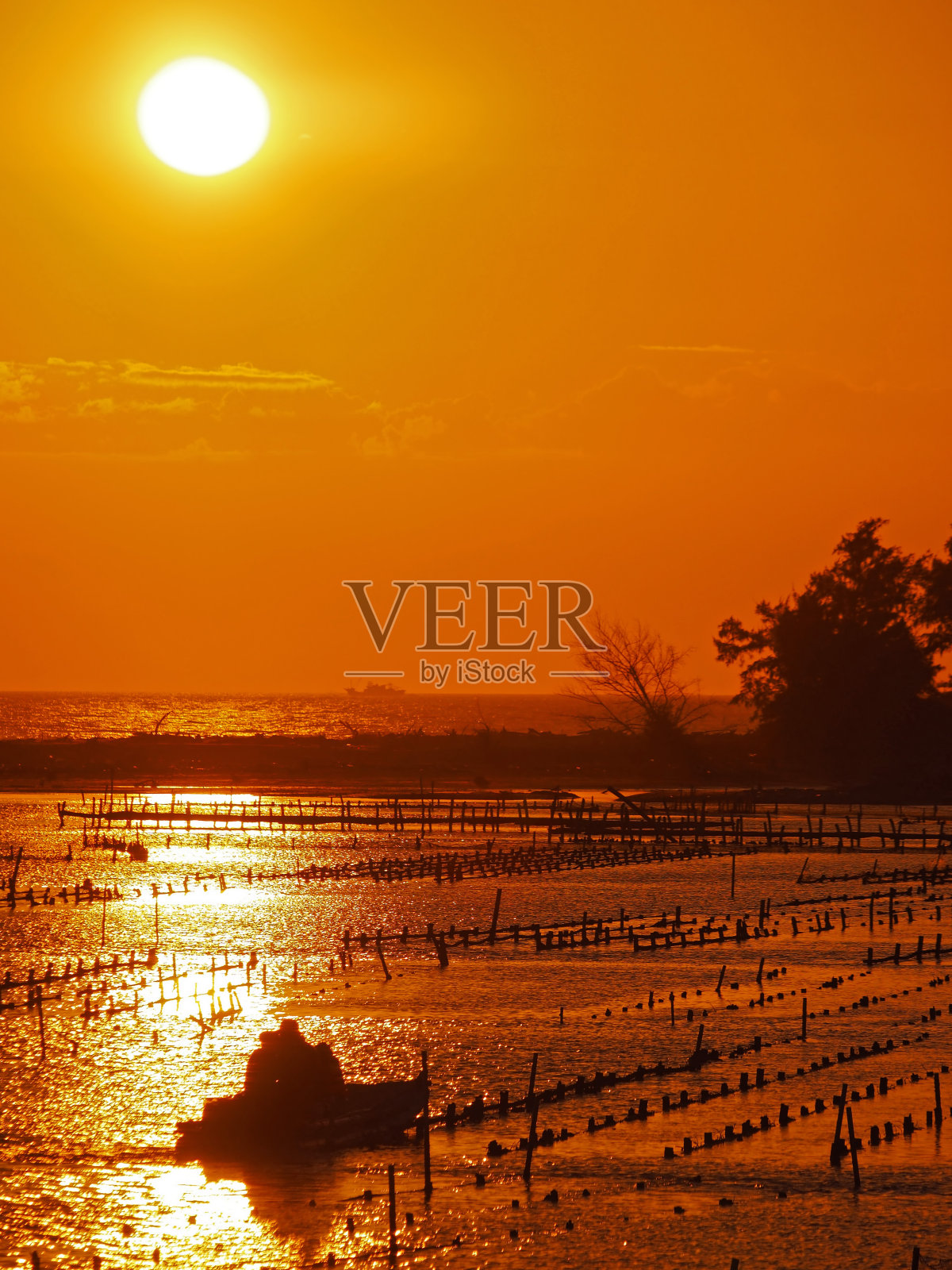 美丽的日落在海滩在台南照片摄影图片