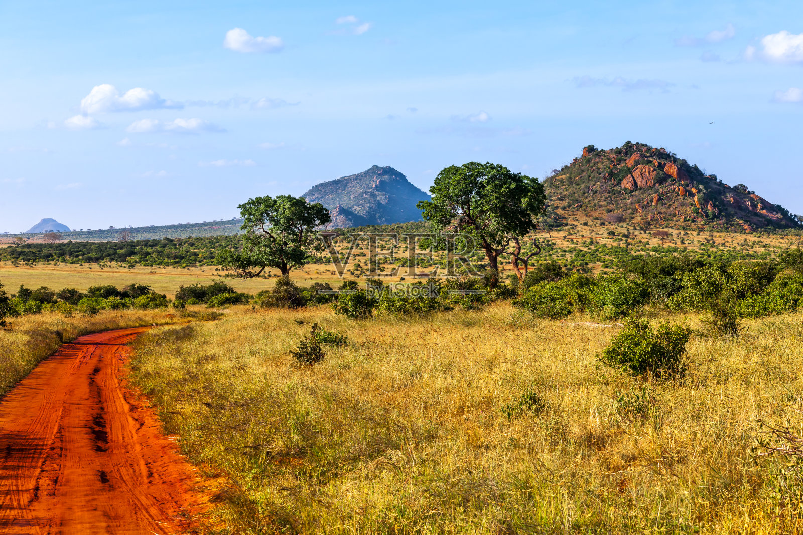 非洲照片摄影图片