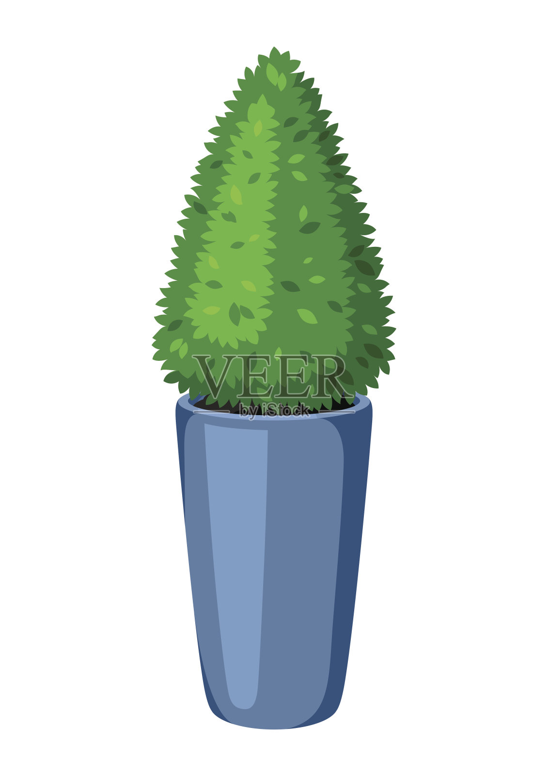 黄杨木造型园林植物。花盆中的装饰树设计元素图片